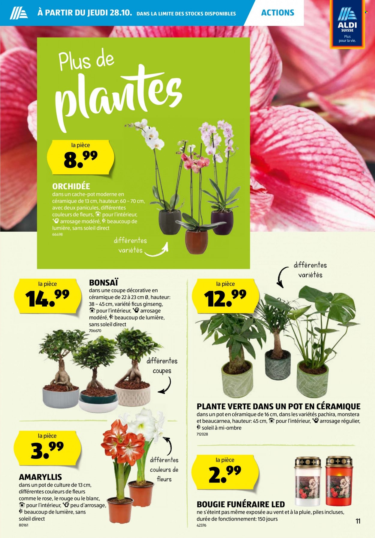 Prospekt Aldi - 28.10.2021 - 3.11.2021. Seite 11