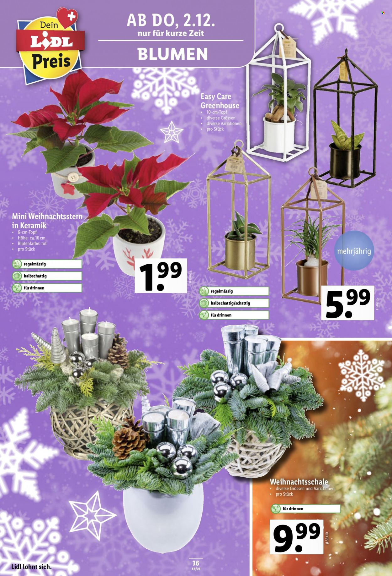 Volantino Lidl - 2.12.2021 - 8.12.2021. Pagina 36