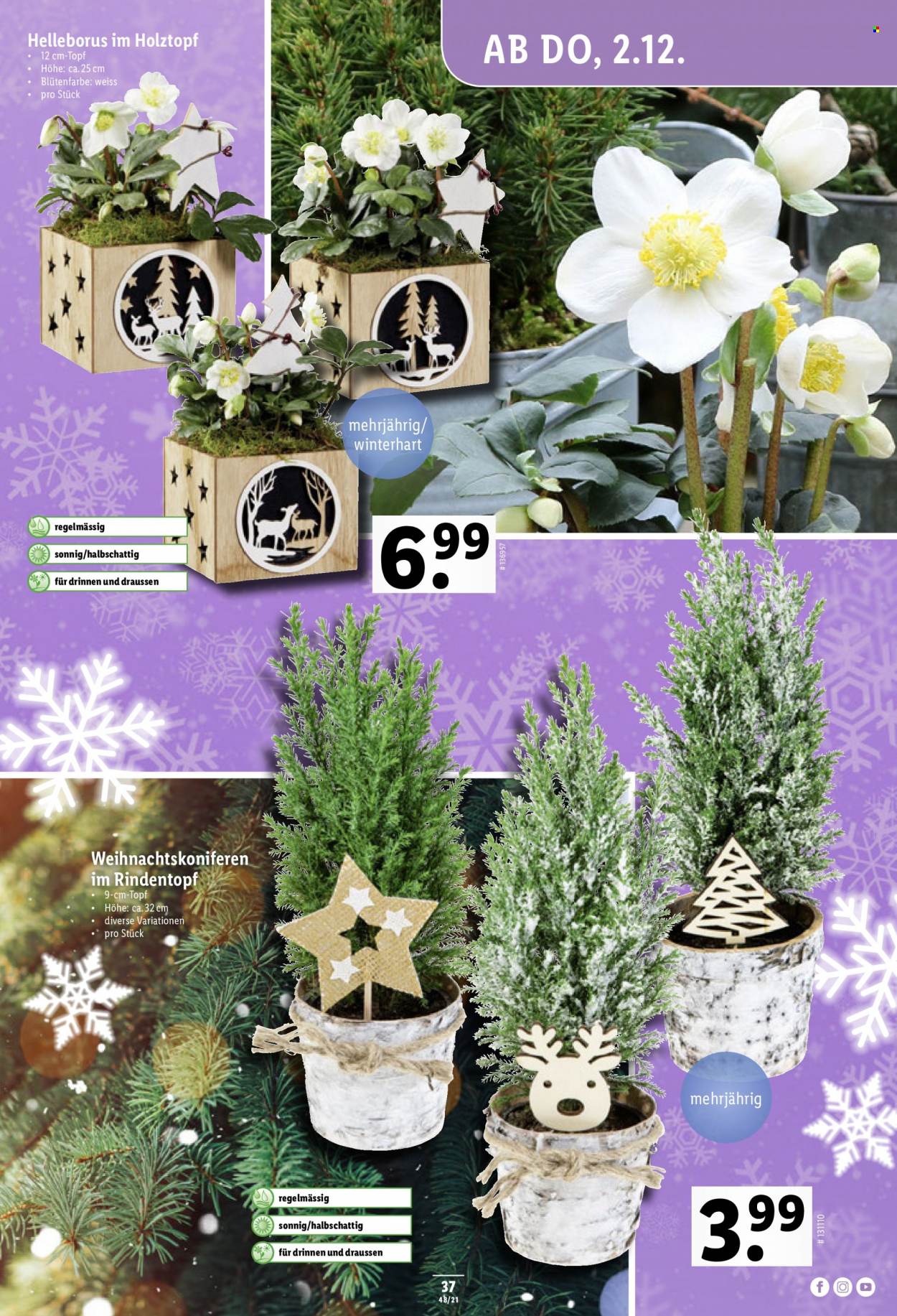 Volantino Lidl - 2.12.2021 - 8.12.2021. Pagina 37