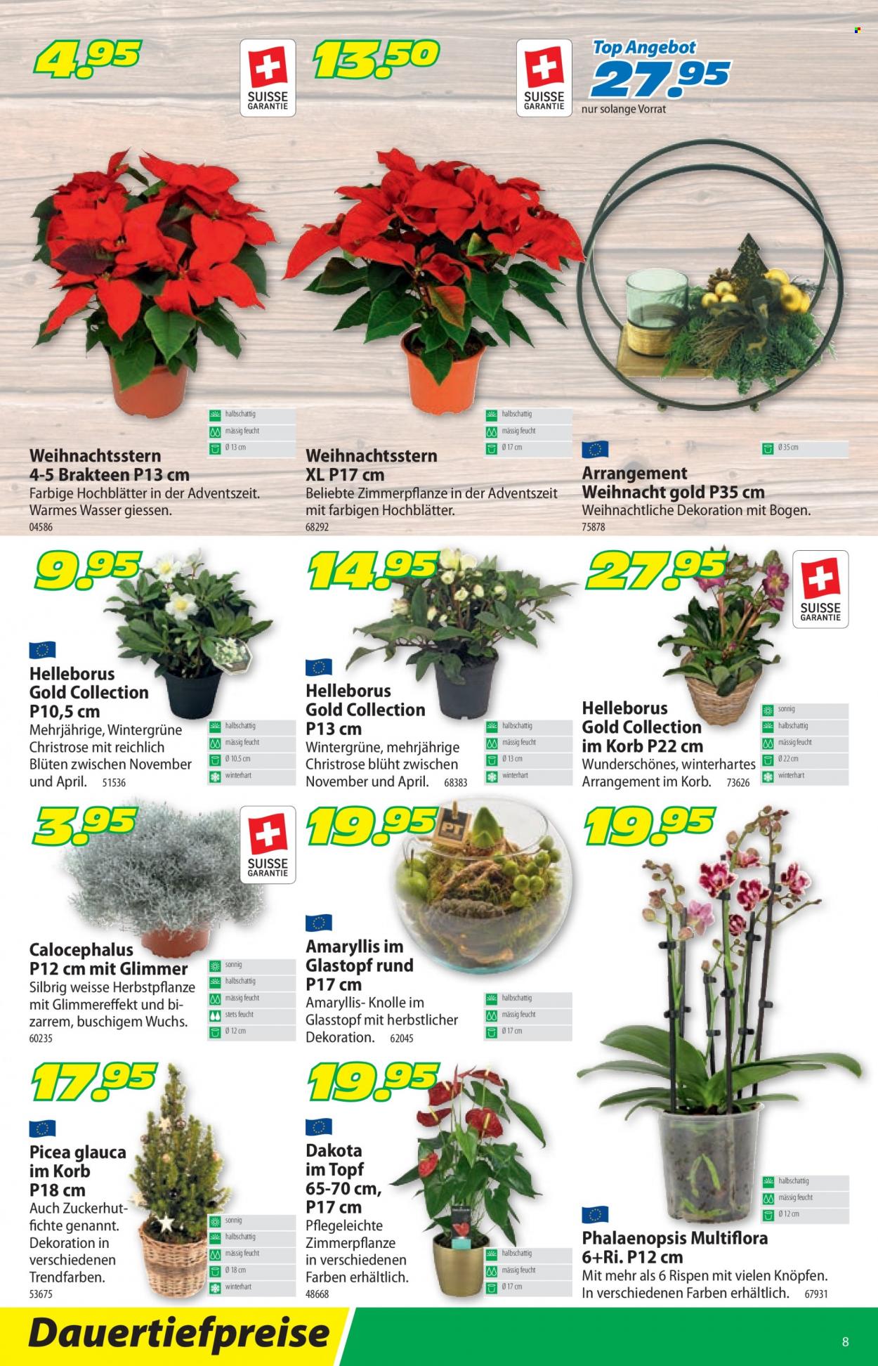 Prospekt Landi - 29.11.2021 - 11.12.2021. Seite 12