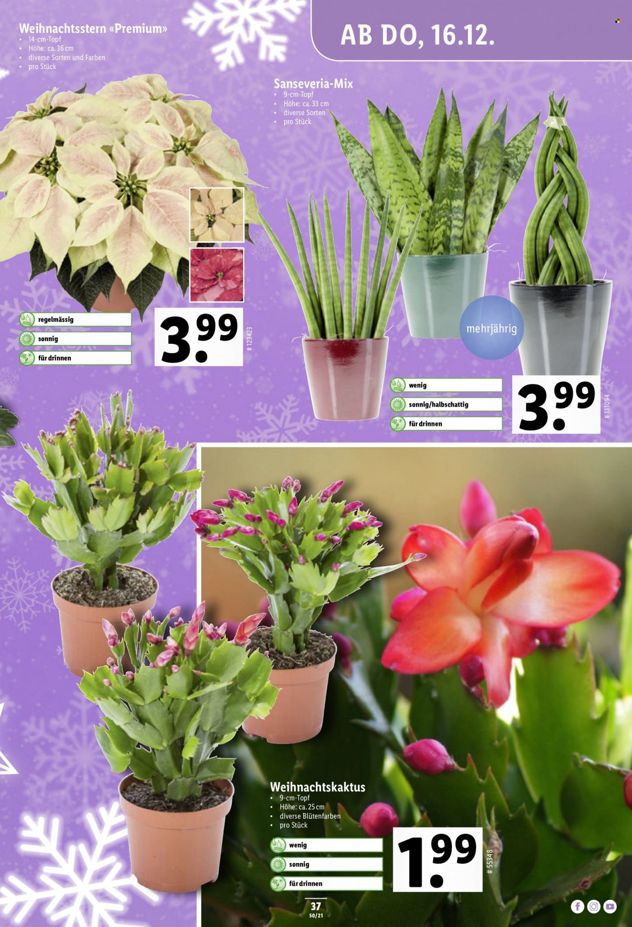 Catalogue Lidl - 16.12.2021 - 21.12.2021. Page 37