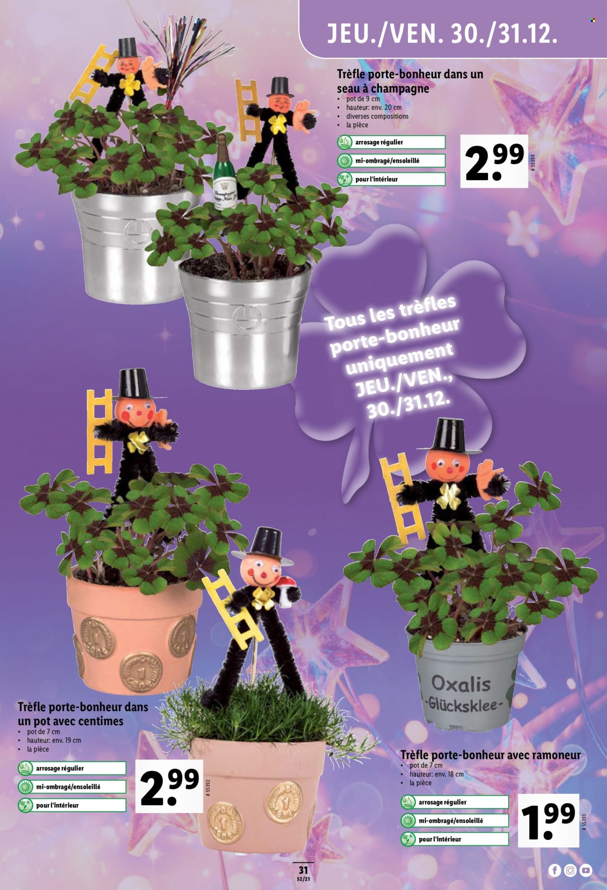 Catalogue Lidl - 29.12.2021 - 5.1.2022. Page 31