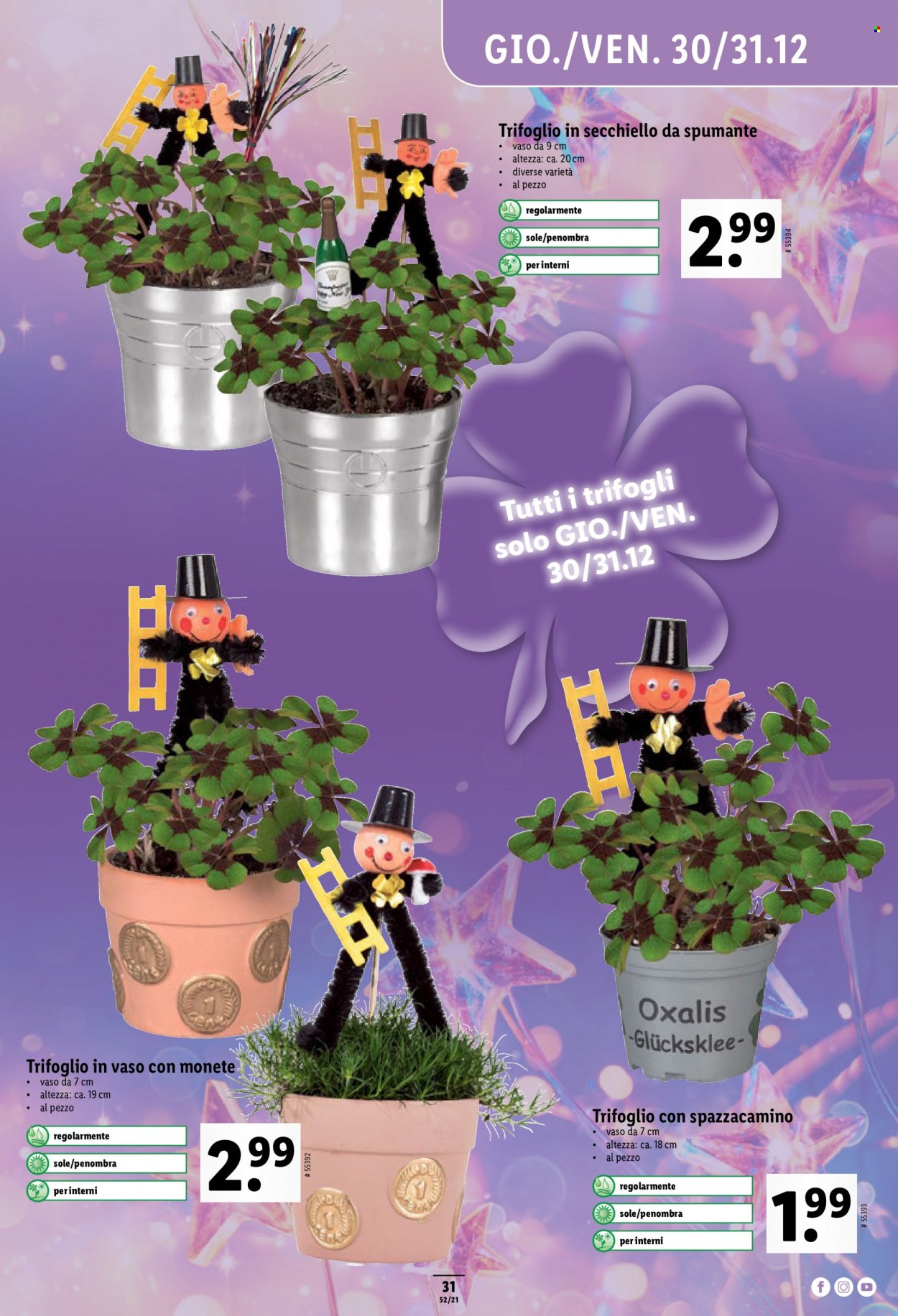 Catalogue Lidl - 29.12.2021 - 5.1.2022. Page 31