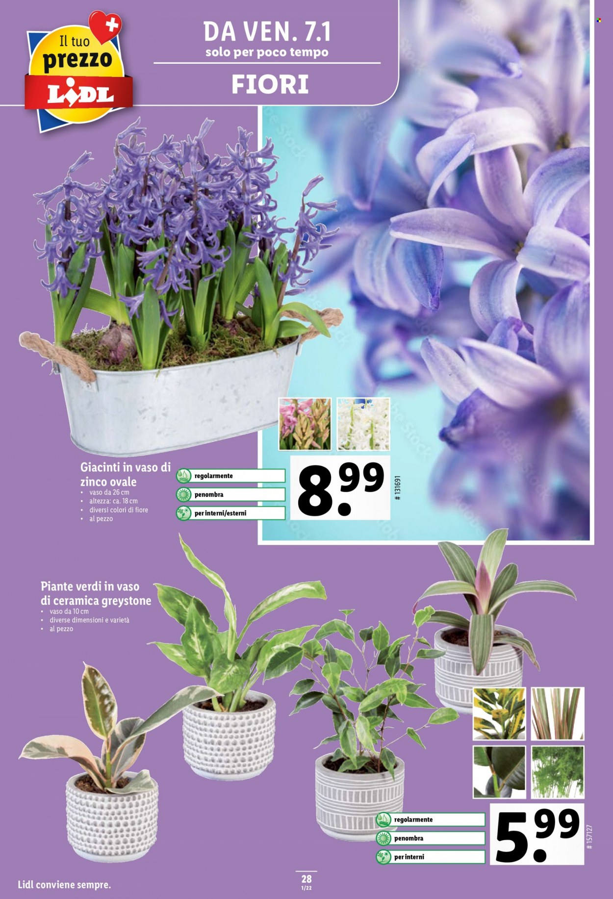 Volantino Lidl - 6.1.2022 - 12.1.2022. Pagina 28