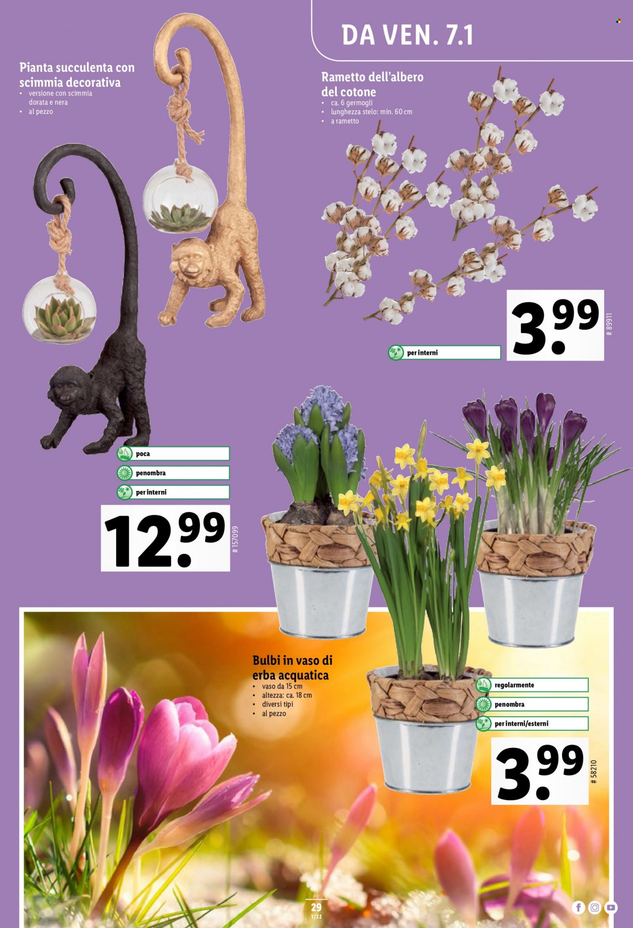 Volantino Lidl - 6.1.2022 - 12.1.2022. Pagina 29
