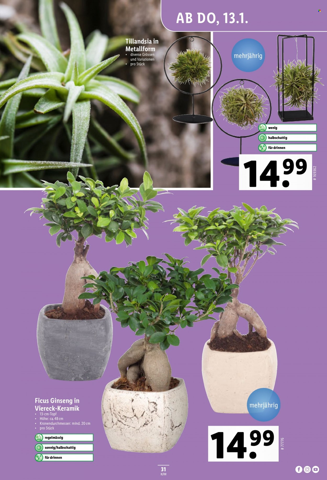 Volantino Lidl - 13.1.2022 - 19.1.2022. Pagina 31