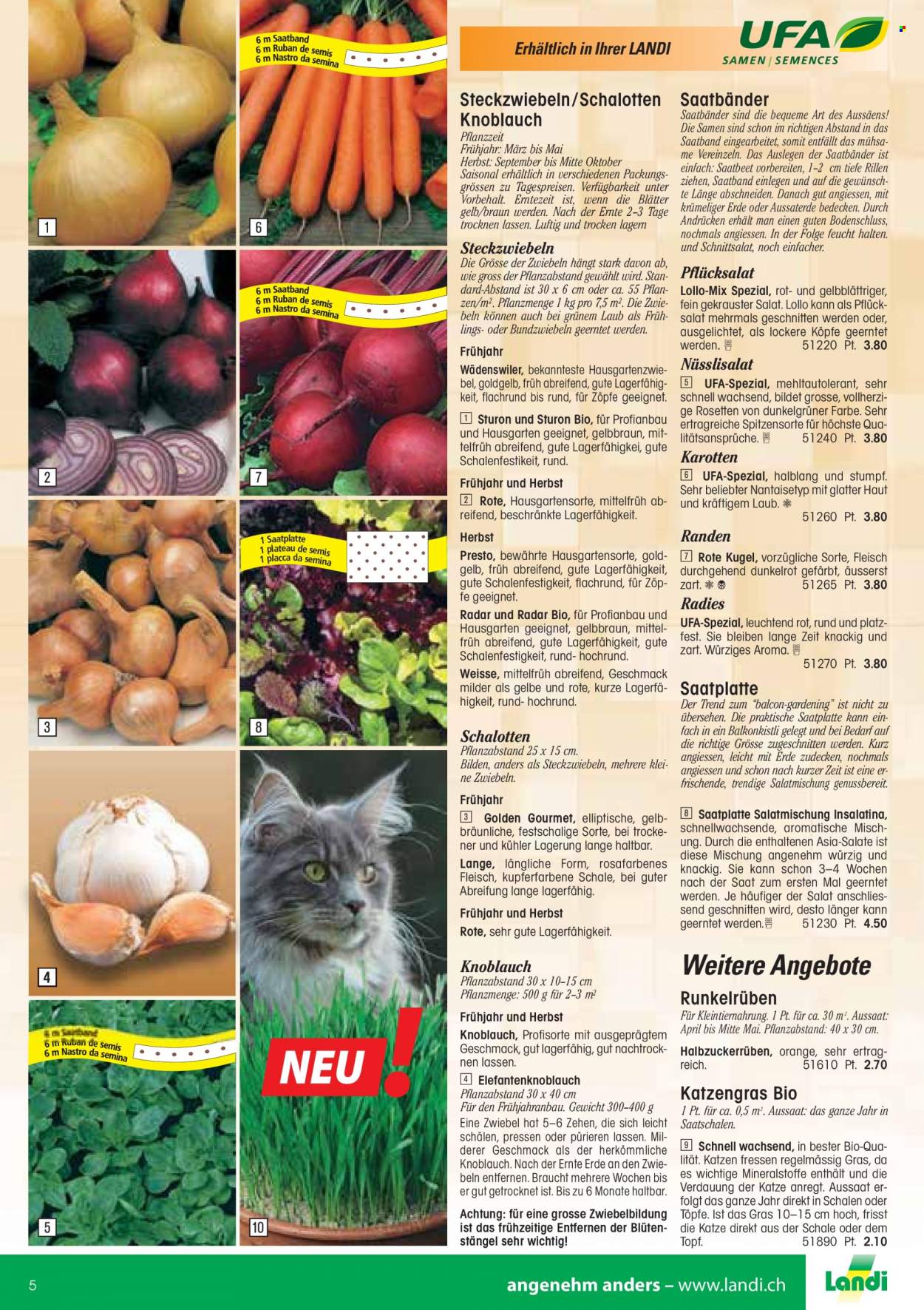 Volantino Landi - 13.1.2022 - 31.12.2022. Pagina 5