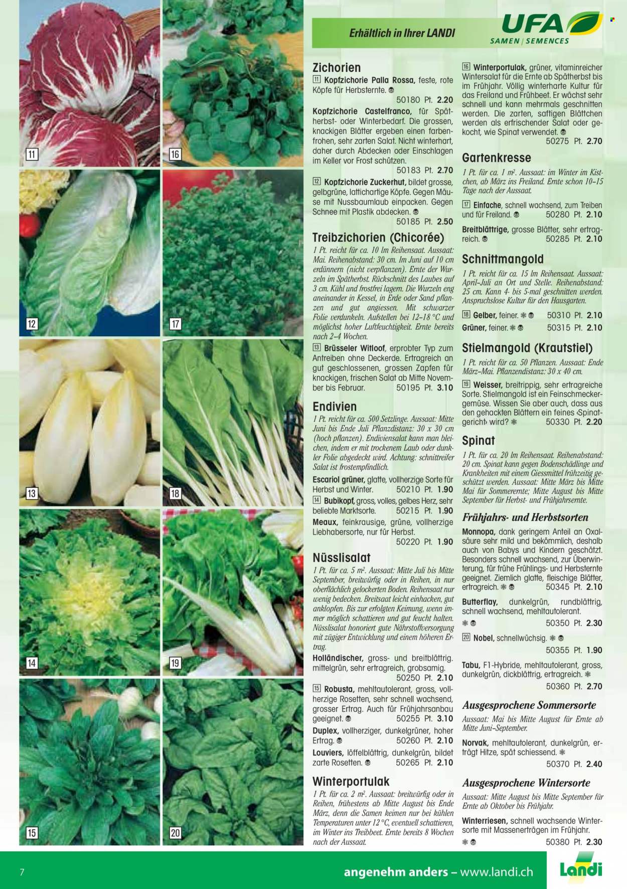 Volantino Landi - 13.1.2022 - 31.12.2022. Pagina 7