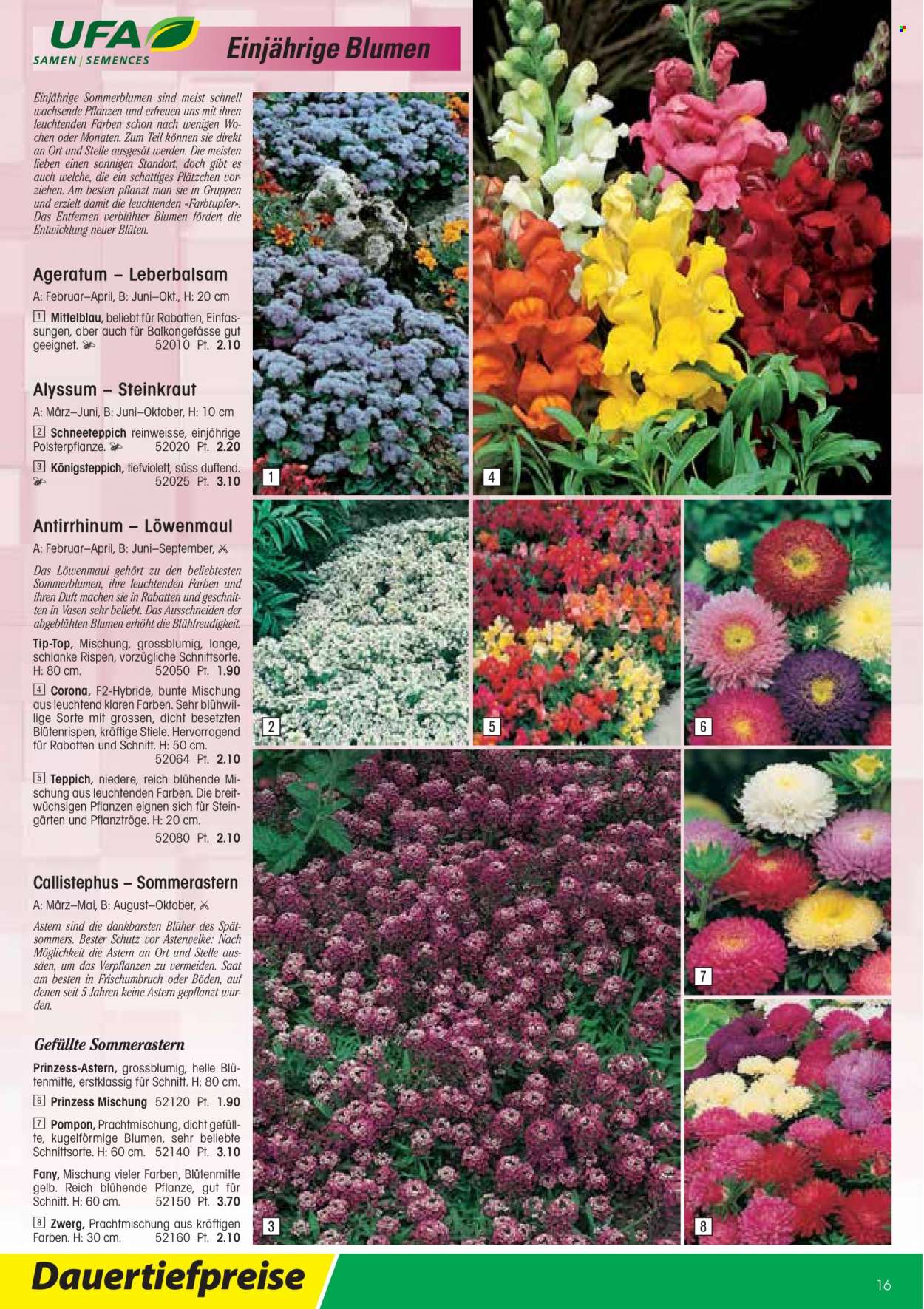 Volantino Landi - 13.1.2022 - 31.12.2022. Pagina 16