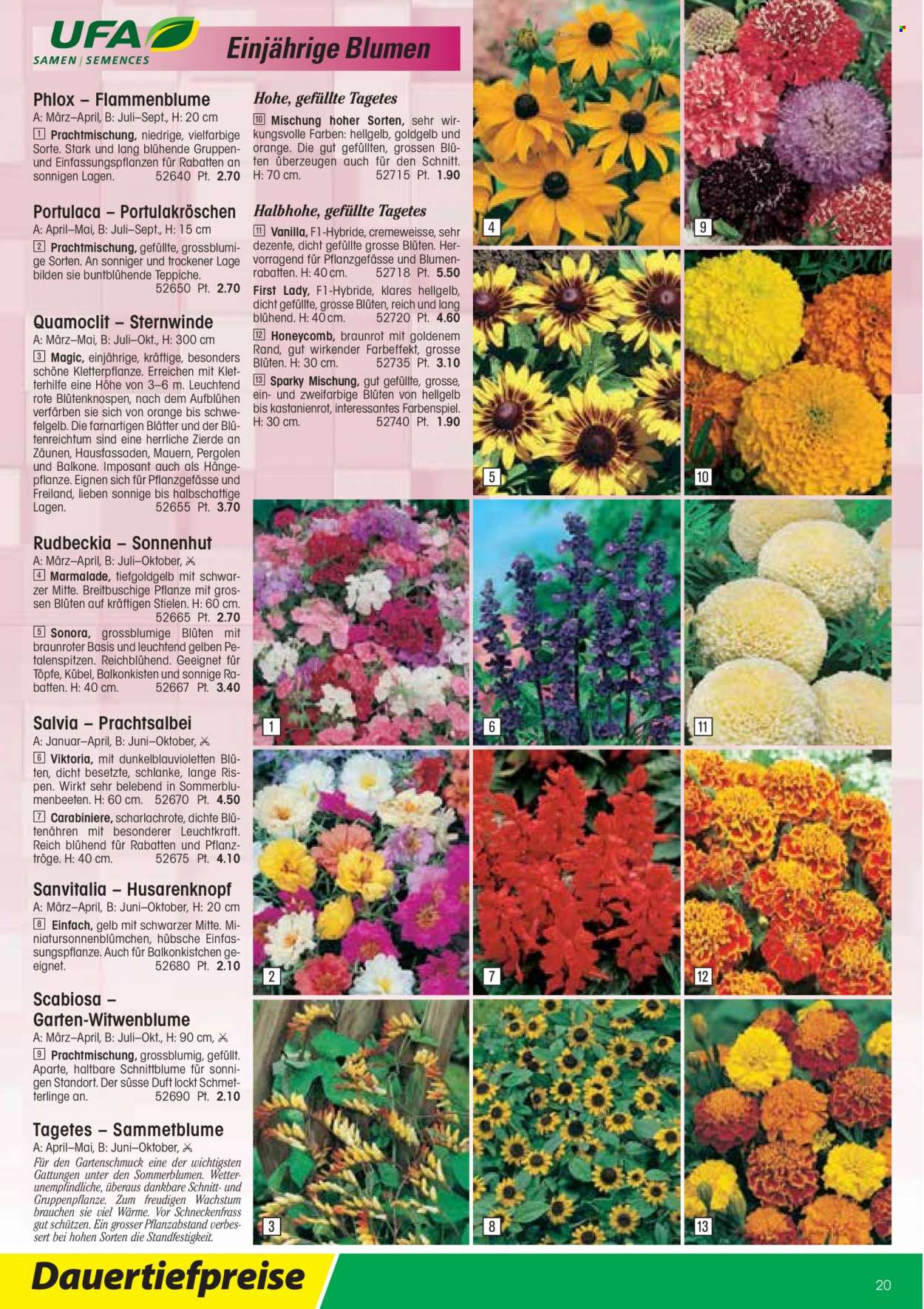 Volantino Landi - 13.1.2022 - 31.12.2022. Pagina 20