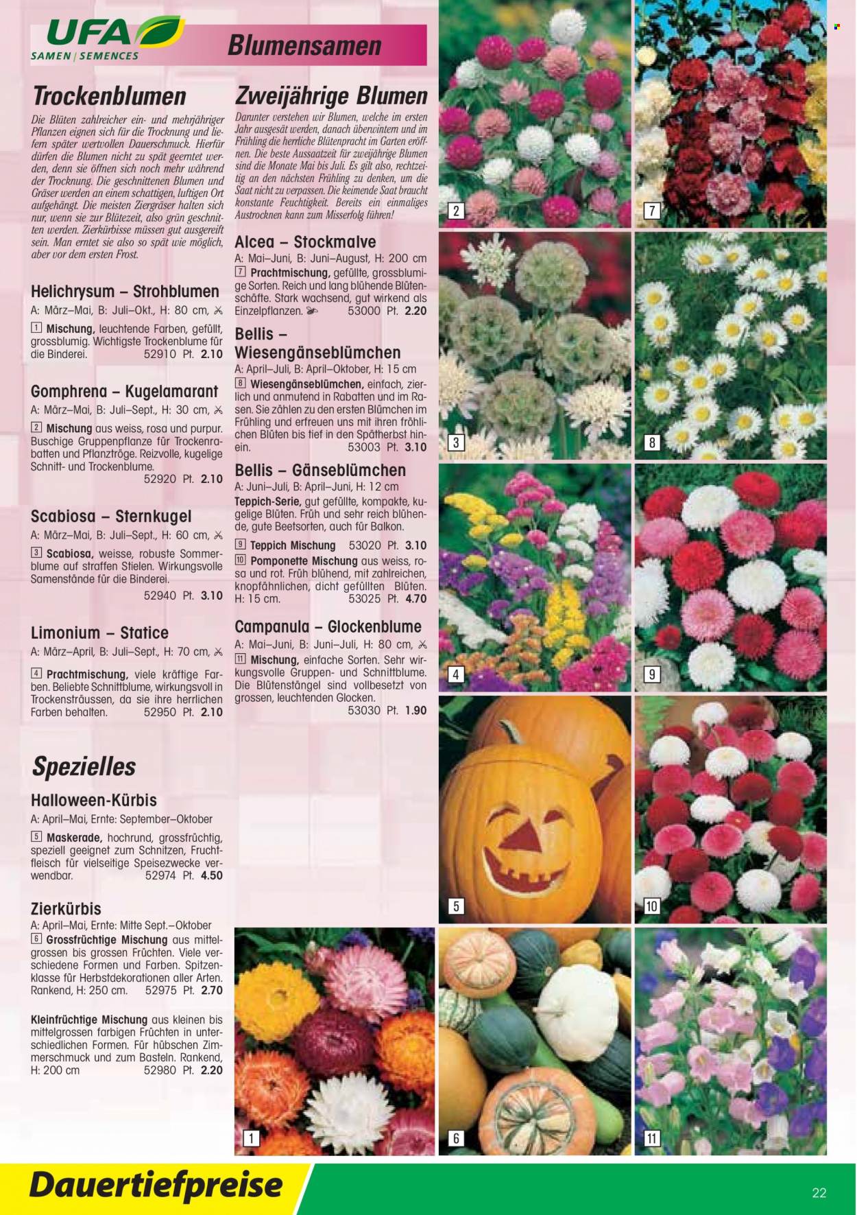 Volantino Landi - 13.1.2022 - 31.12.2022. Pagina 22