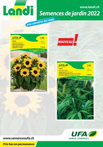 Volantino Landi - 13.1.2022 - 31.12.2022.
