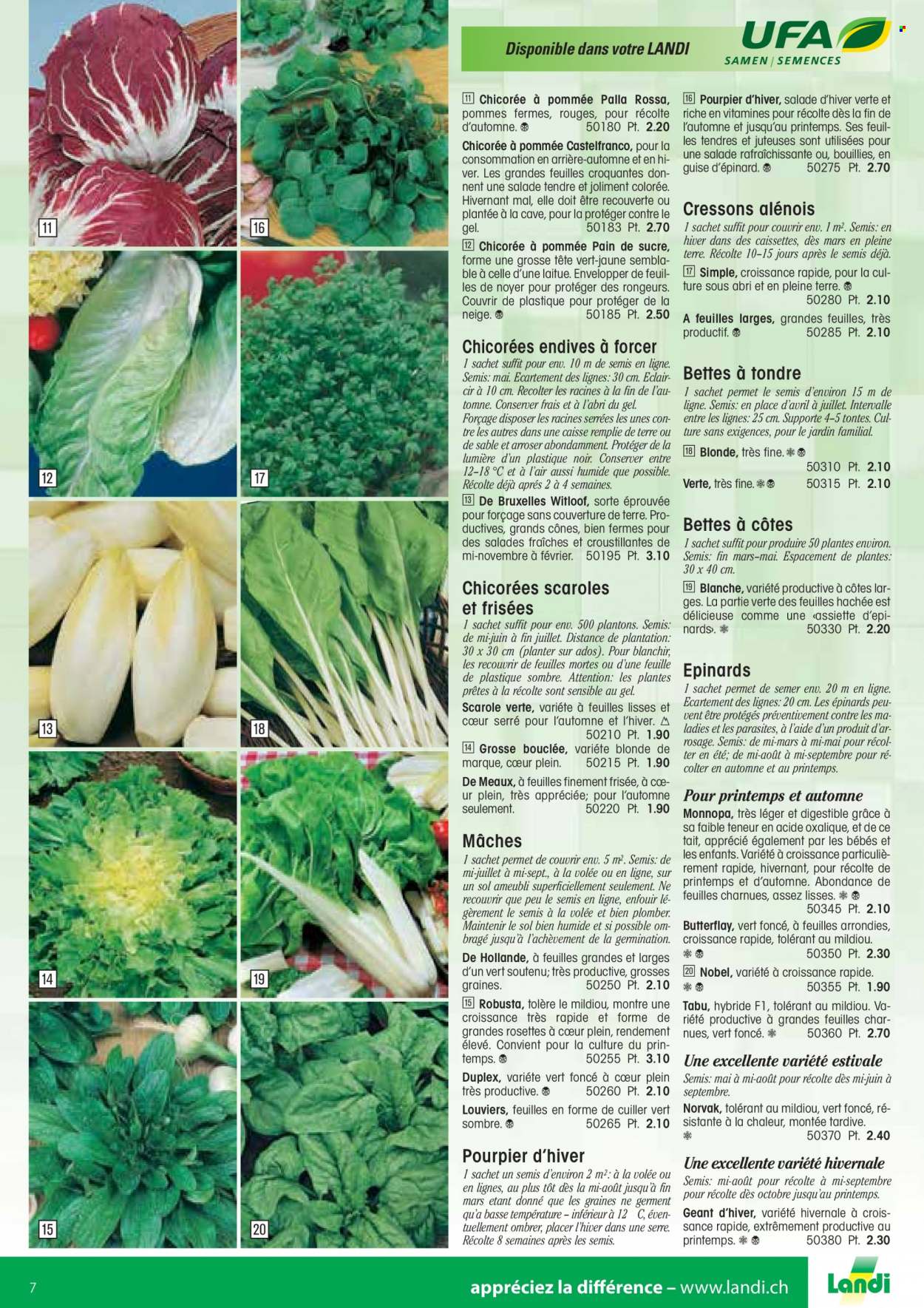 Volantino Landi - 13.1.2022 - 31.12.2022. Pagina 7