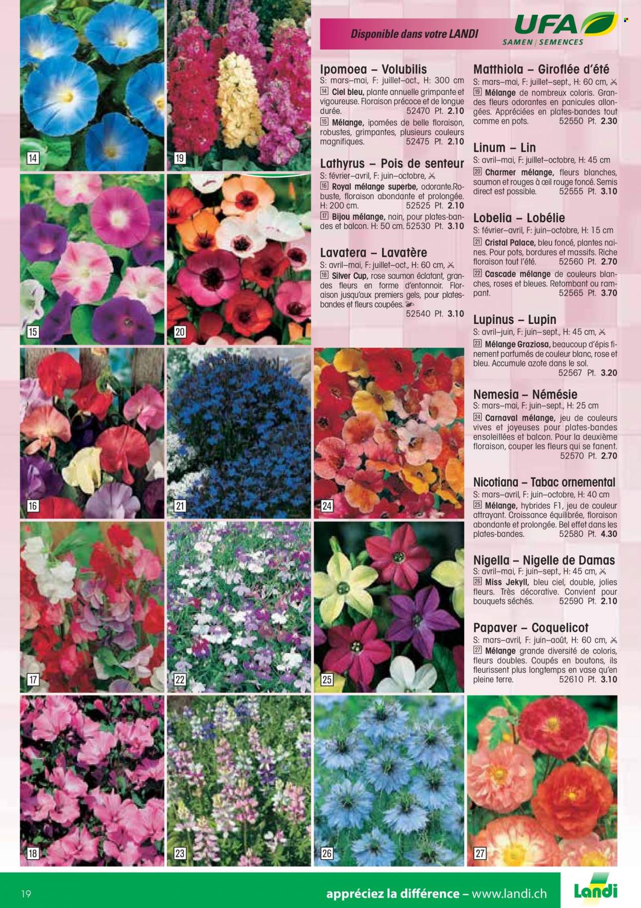 Volantino Landi - 13.1.2022 - 31.12.2022. Pagina 19