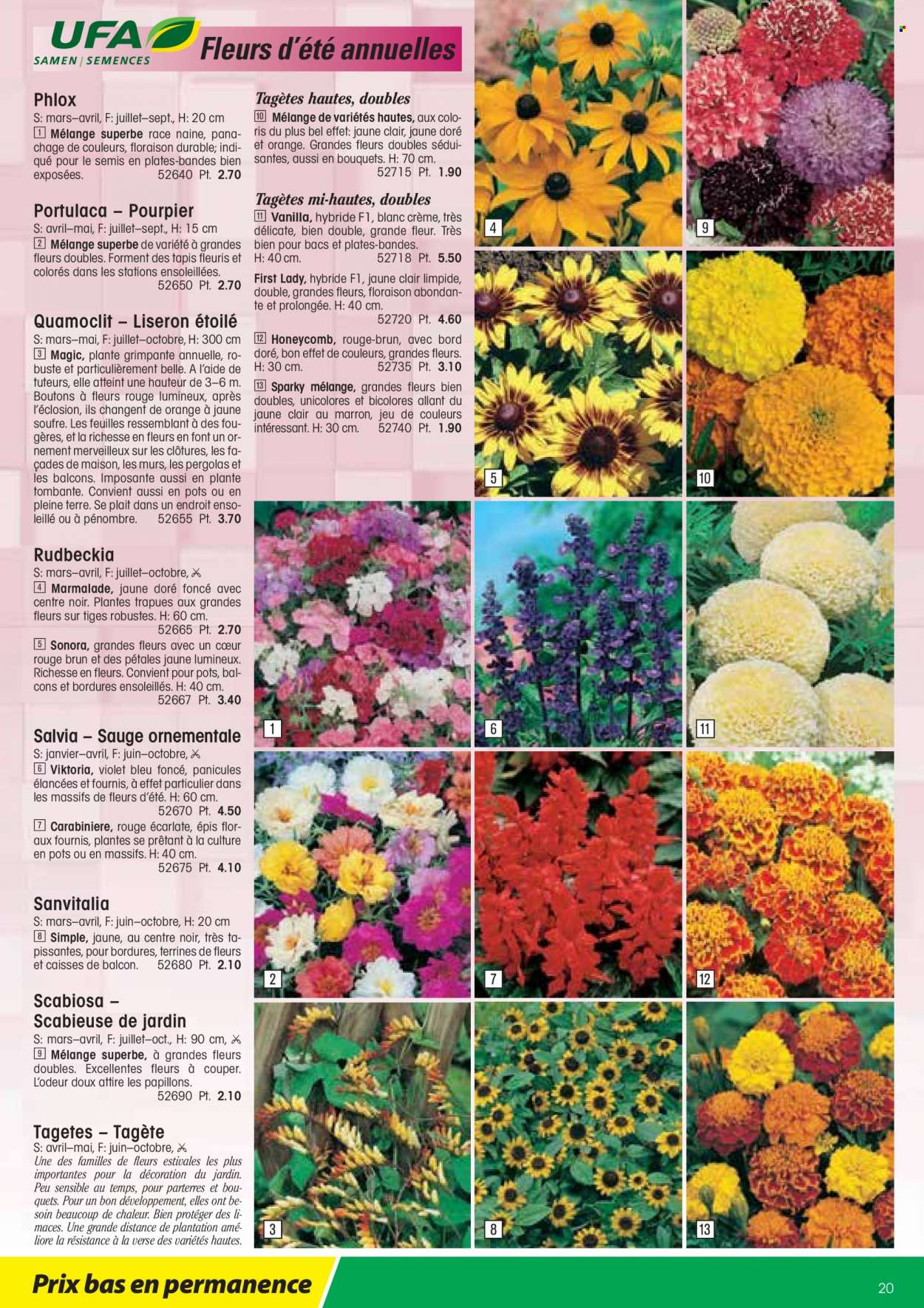 Volantino Landi - 13.1.2022 - 31.12.2022. Pagina 20