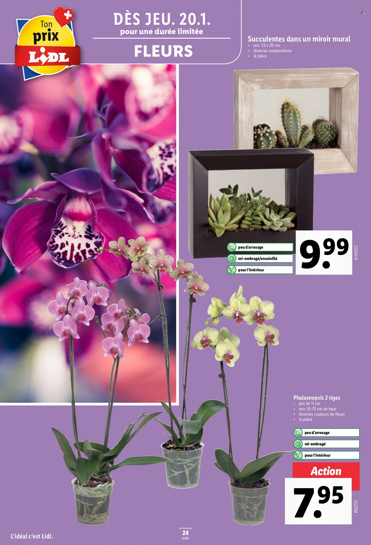 Volantino Lidl - 20.1.2022 - 26.1.2022. Pagina 24