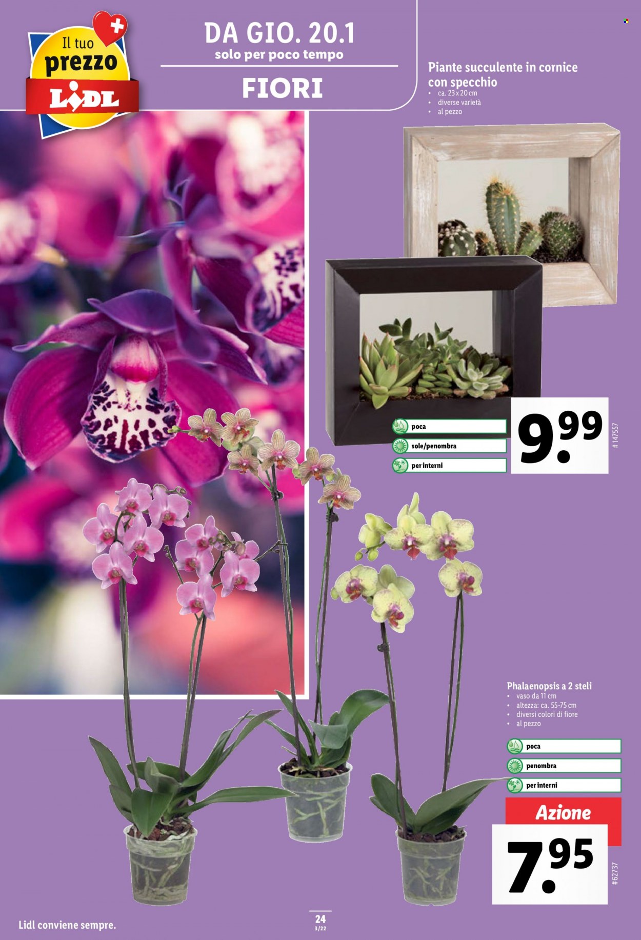 Volantino Lidl - 20.1.2022 - 26.1.2022. Pagina 24