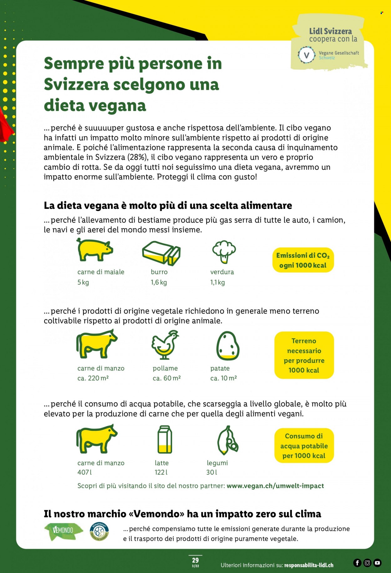 Volantino Lidl - 20.1.2022 - 26.1.2022. Pagina 29