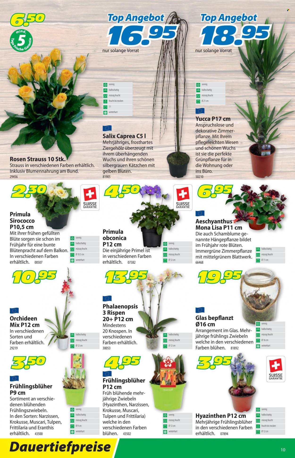 Volantino Landi - 24.1.2022 - 5.2.2022. Pagina 14