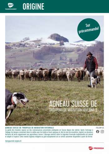 Catalogue Prodega - 27.1.2022 - 4.3.2022.