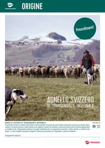 Prospekte Prodega - 27.1.2022 - 4.3.2022.