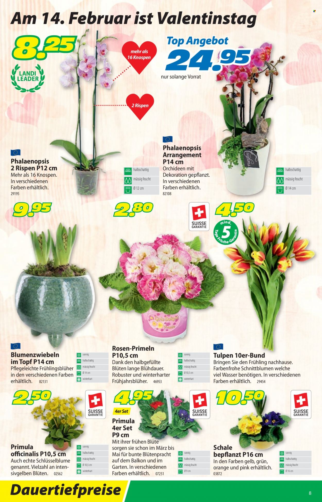 Volantino Landi - 7.2.2022 - 19.2.2022. Pagina 12