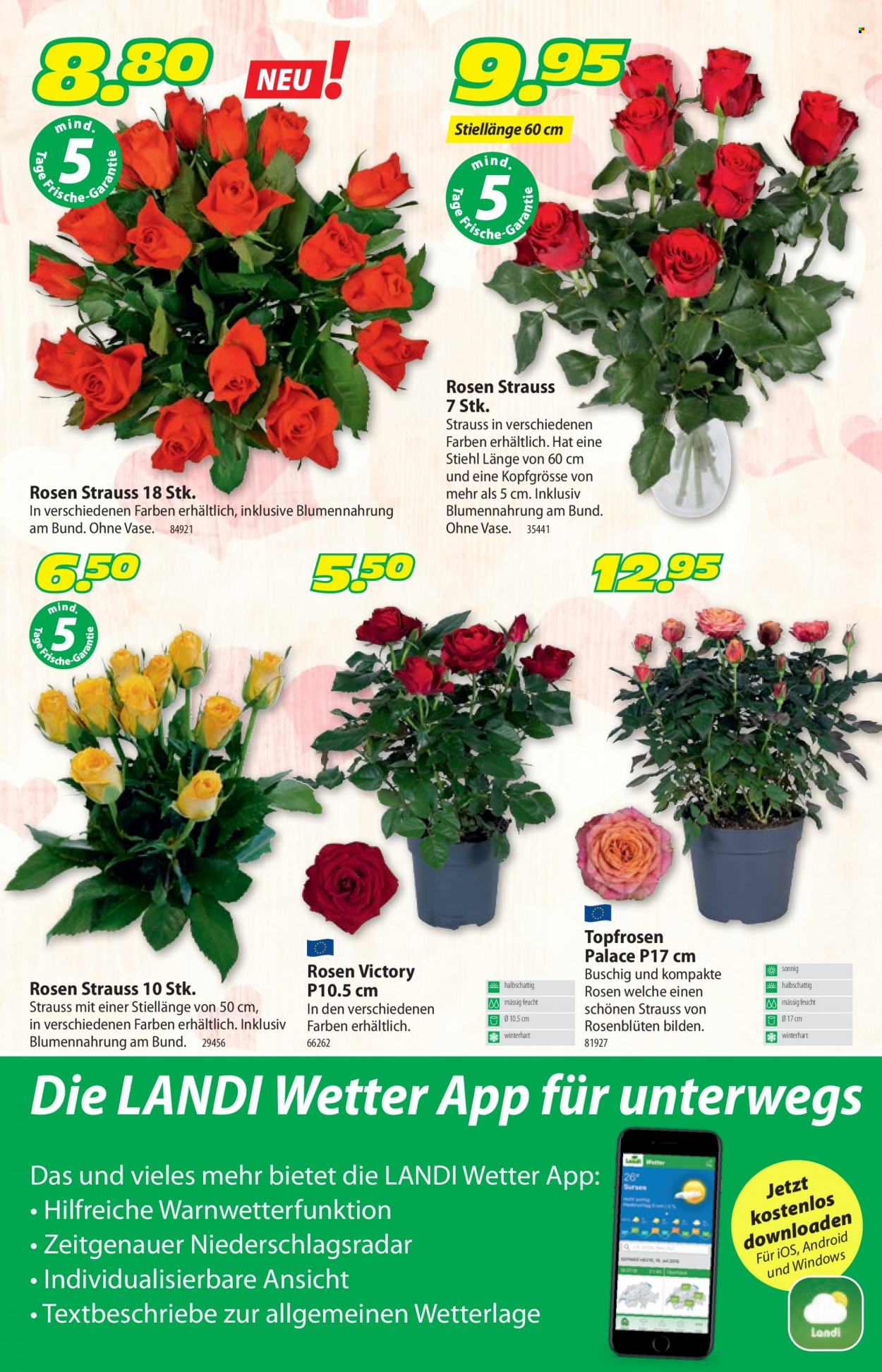 Volantino Landi - 7.2.2022 - 19.2.2022. Pagina 13