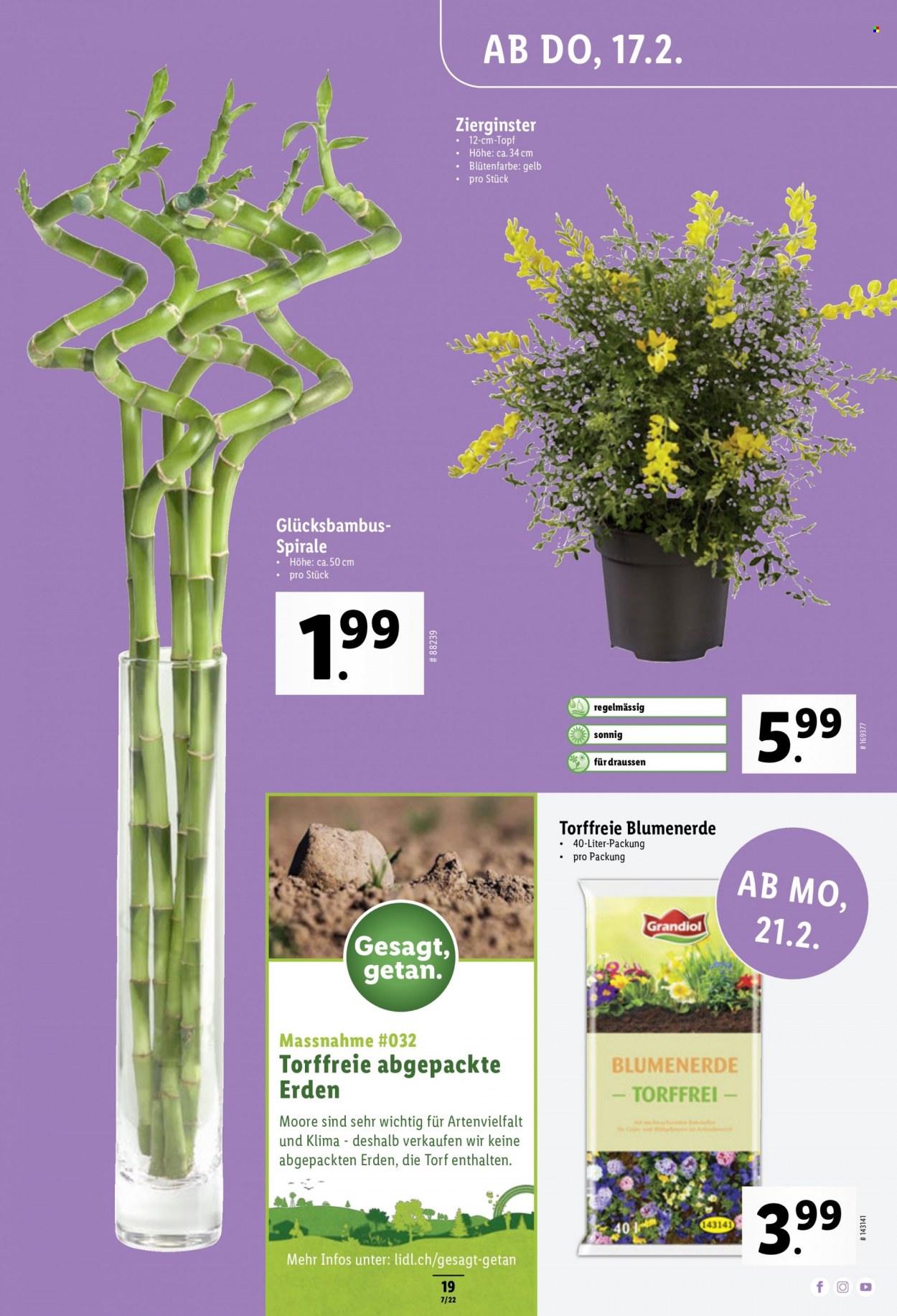 Prospekt Lidl - 17.2.2022 - 23.2.2022. Seite 19