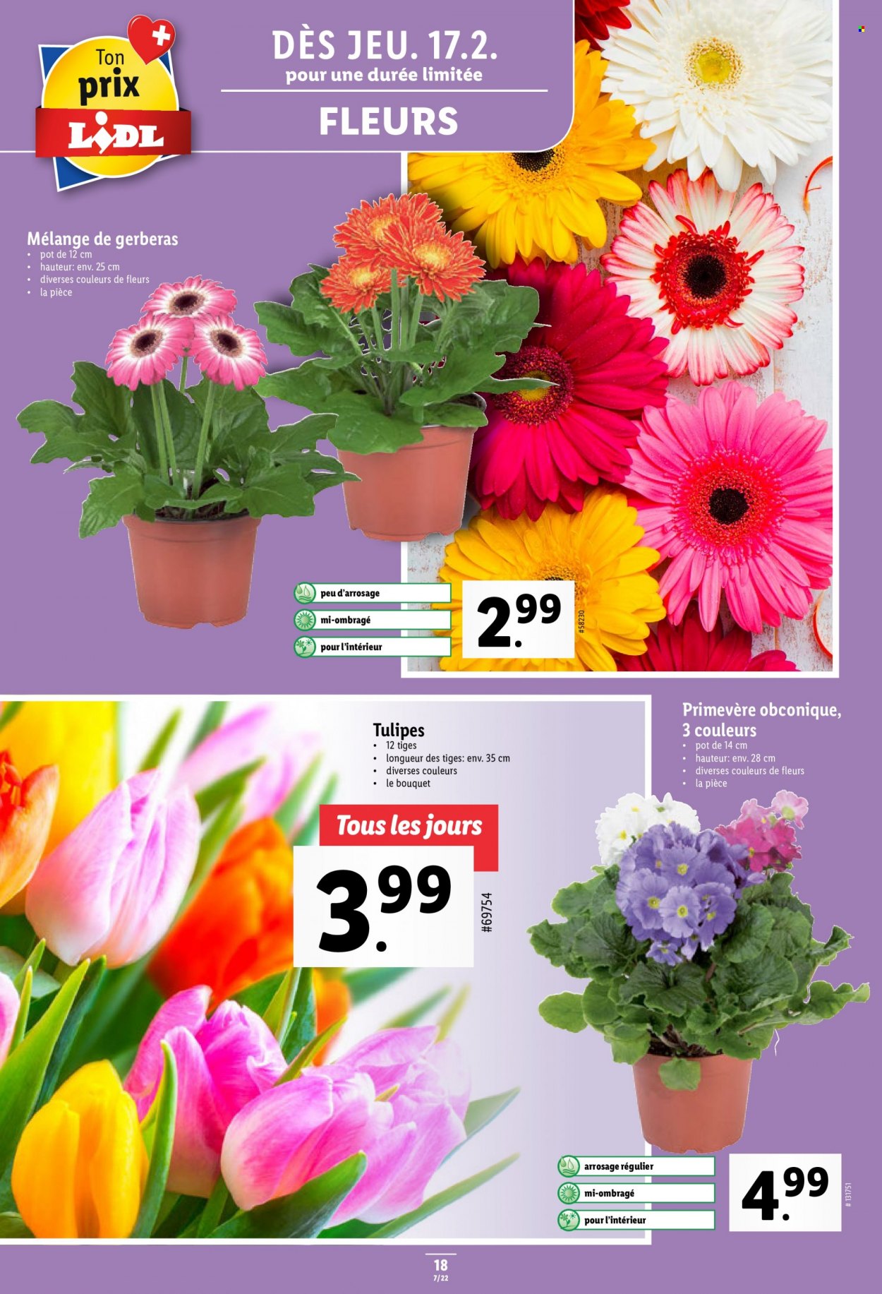Volantino Lidl - 17.2.2022 - 23.2.2022. Pagina 18
