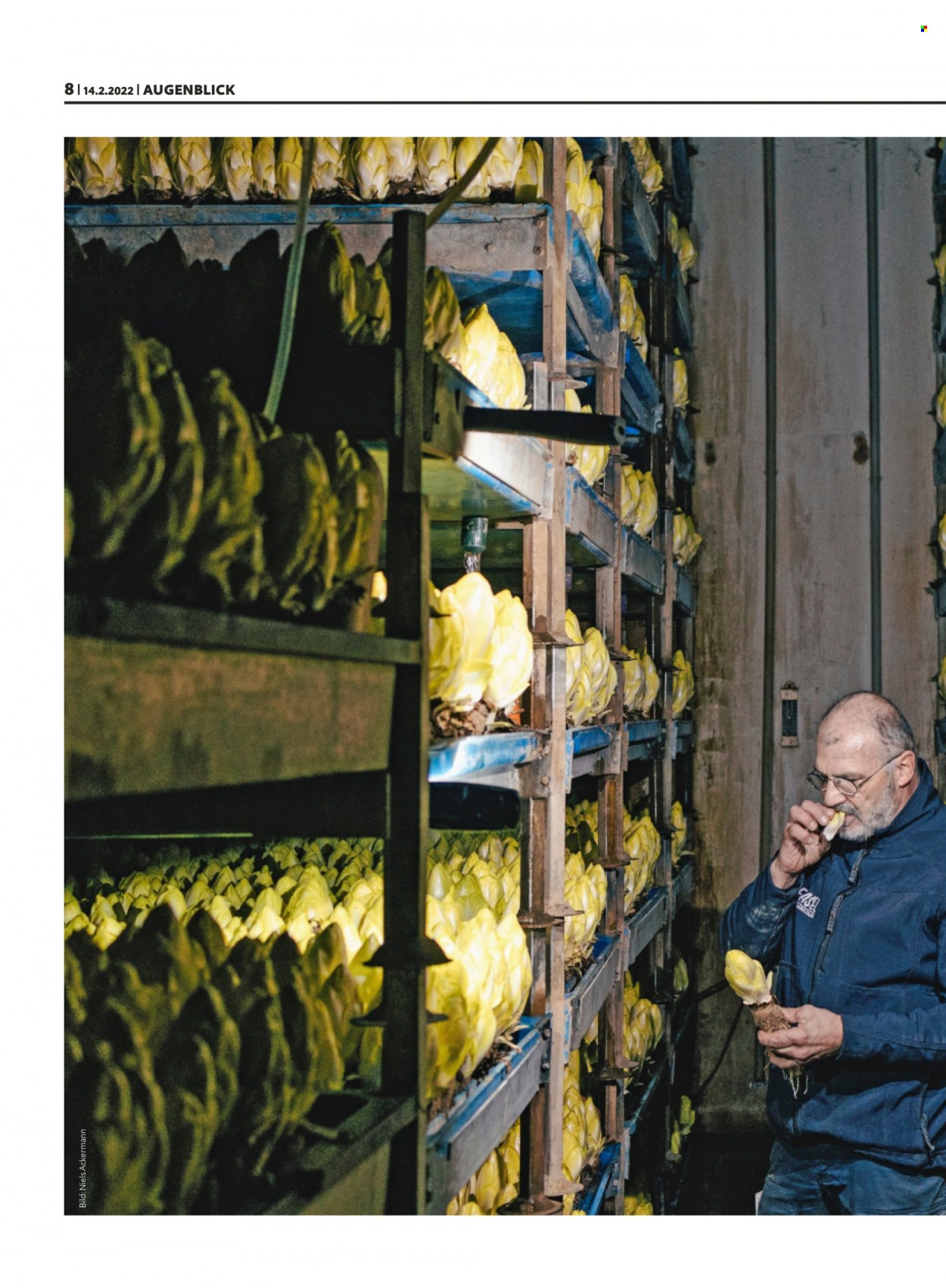 Catalogue Migros - 14.2.2022 - 20.2.2022. Page 8
