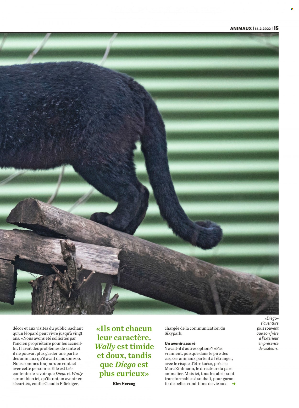 Volantino Migros - 14.2.2022 - 20.2.2022. Pagina 15