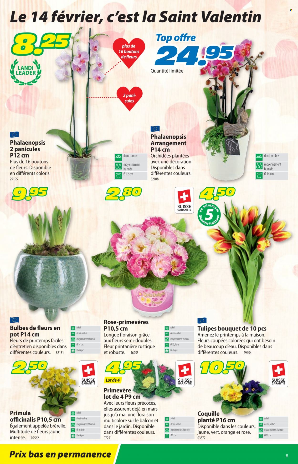 Catalogue Landi - 7.2.2022 - 19.2.2022. Page 12