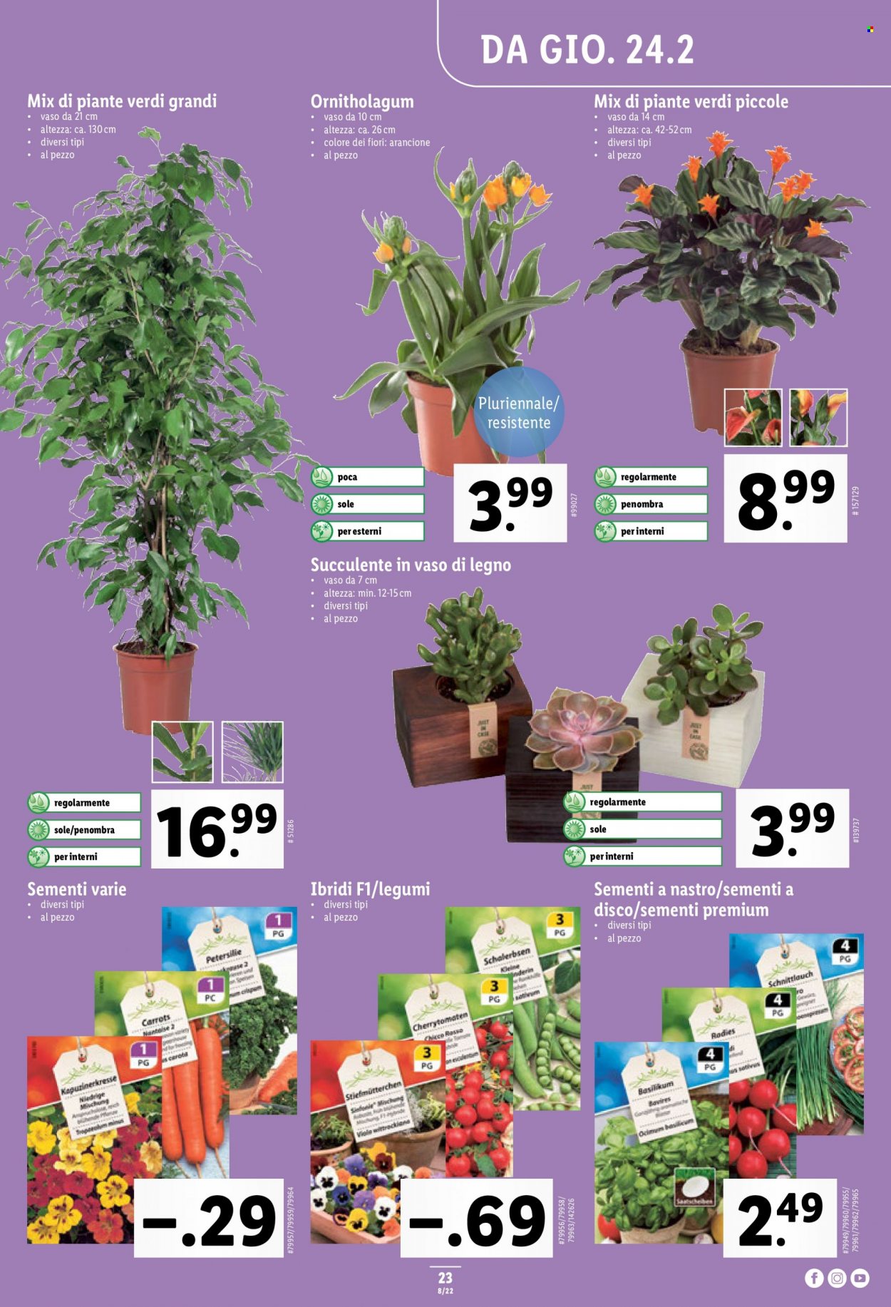 Volantino Lidl - 24.2.2022 - 2.3.2022. Pagina 23