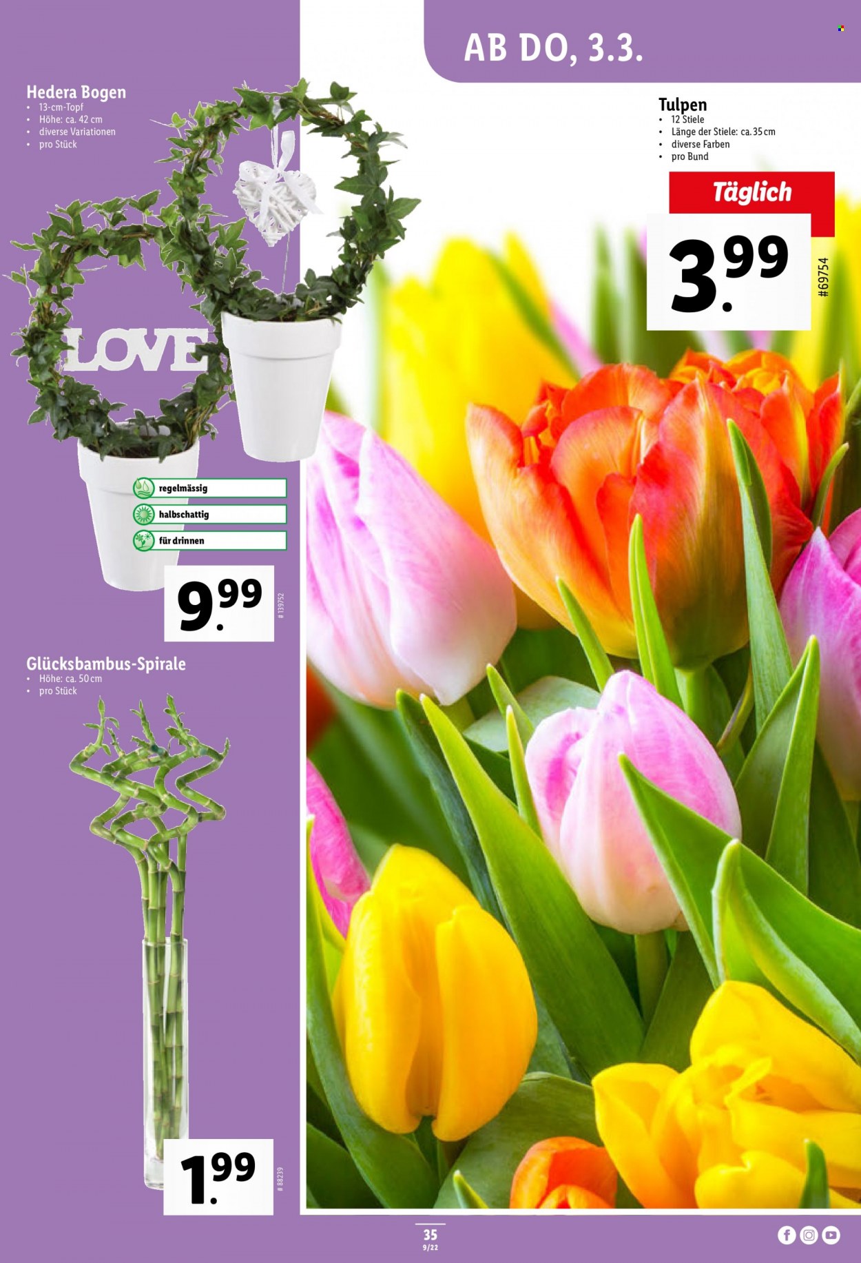 Volantino Lidl - 3.3.2022 - 9.3.2022. Pagina 35