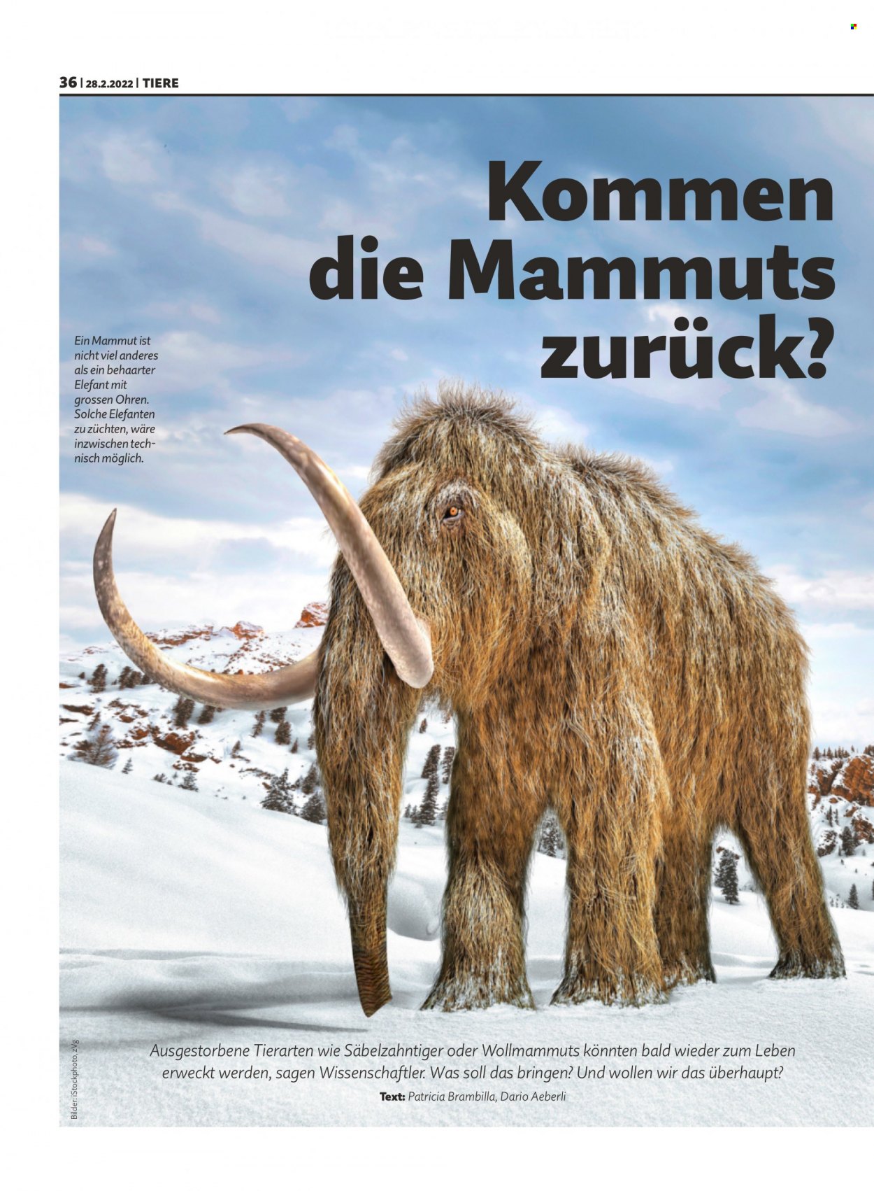 Volantino Migros - 28.2.2022 - 6.3.2022. Pagina 36