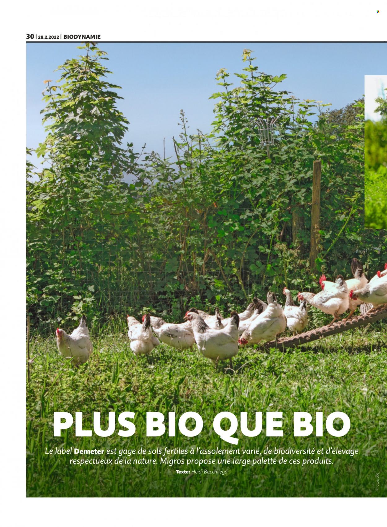 Volantino Migros - 28.2.2022 - 6.3.2022. Pagina 30