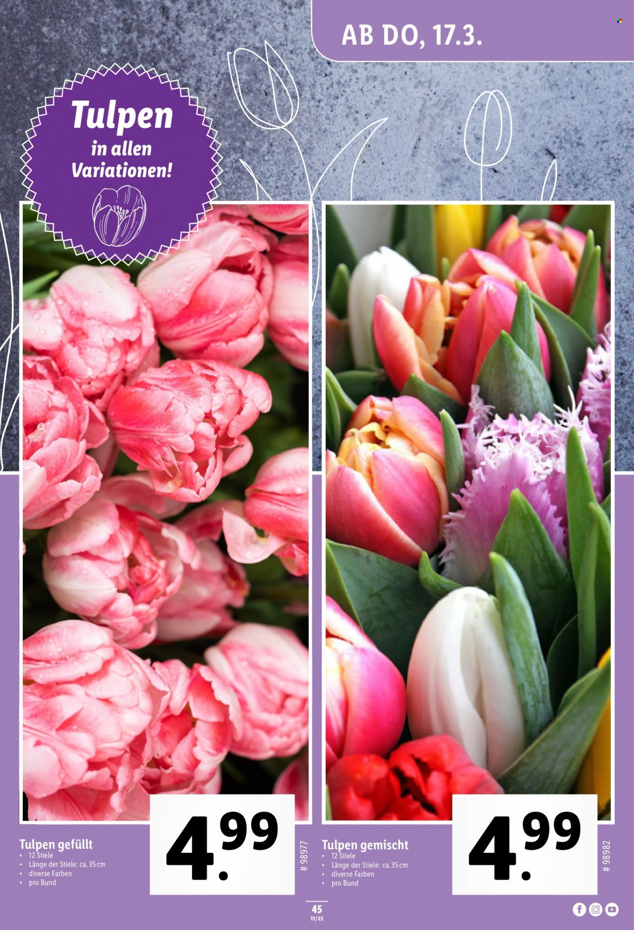 Prospekt Lidl - 17.3.2022 - 23.3.2022. Seite 45