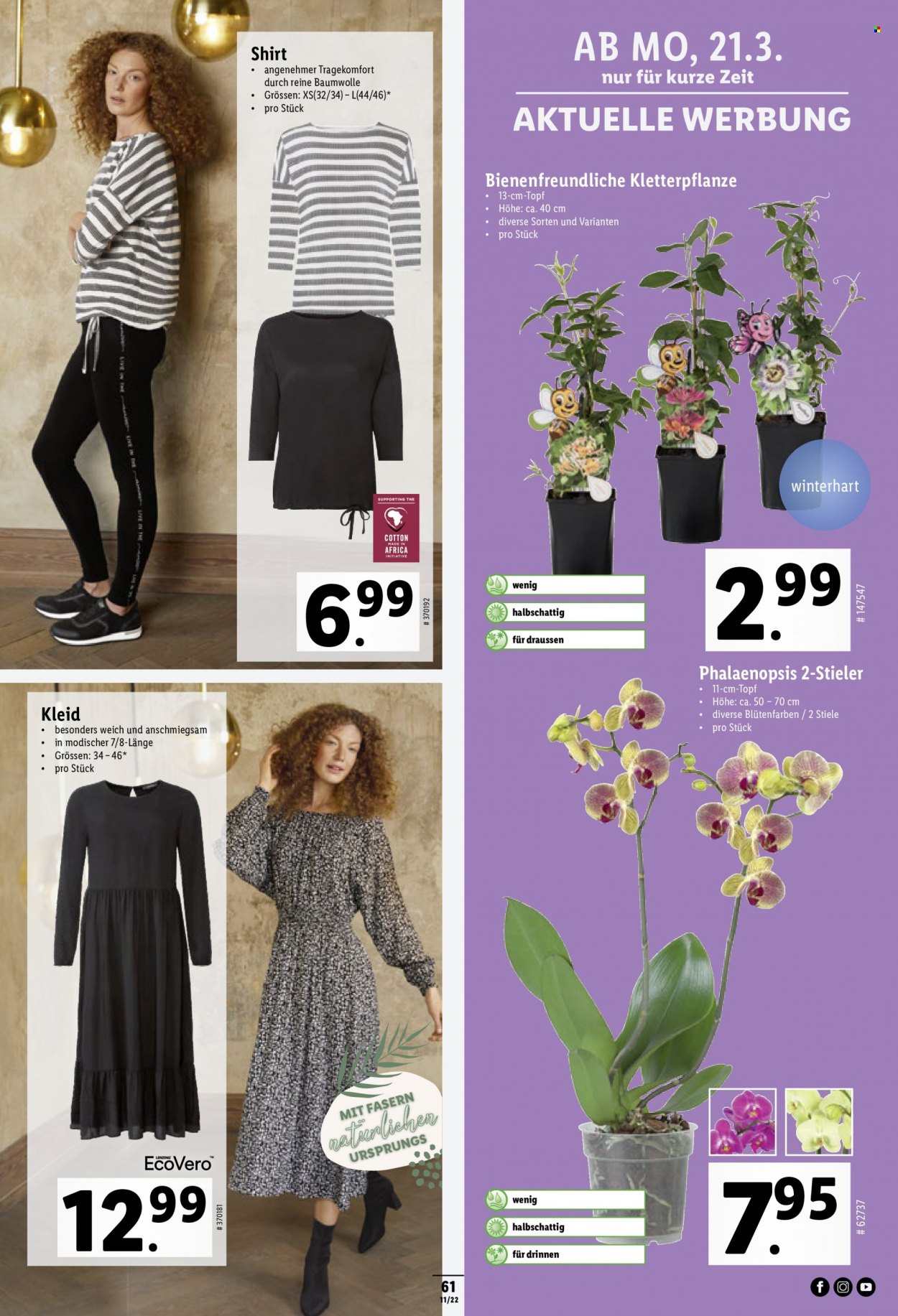 Prospekt Lidl - 17.3.2022 - 23.3.2022. Seite 61