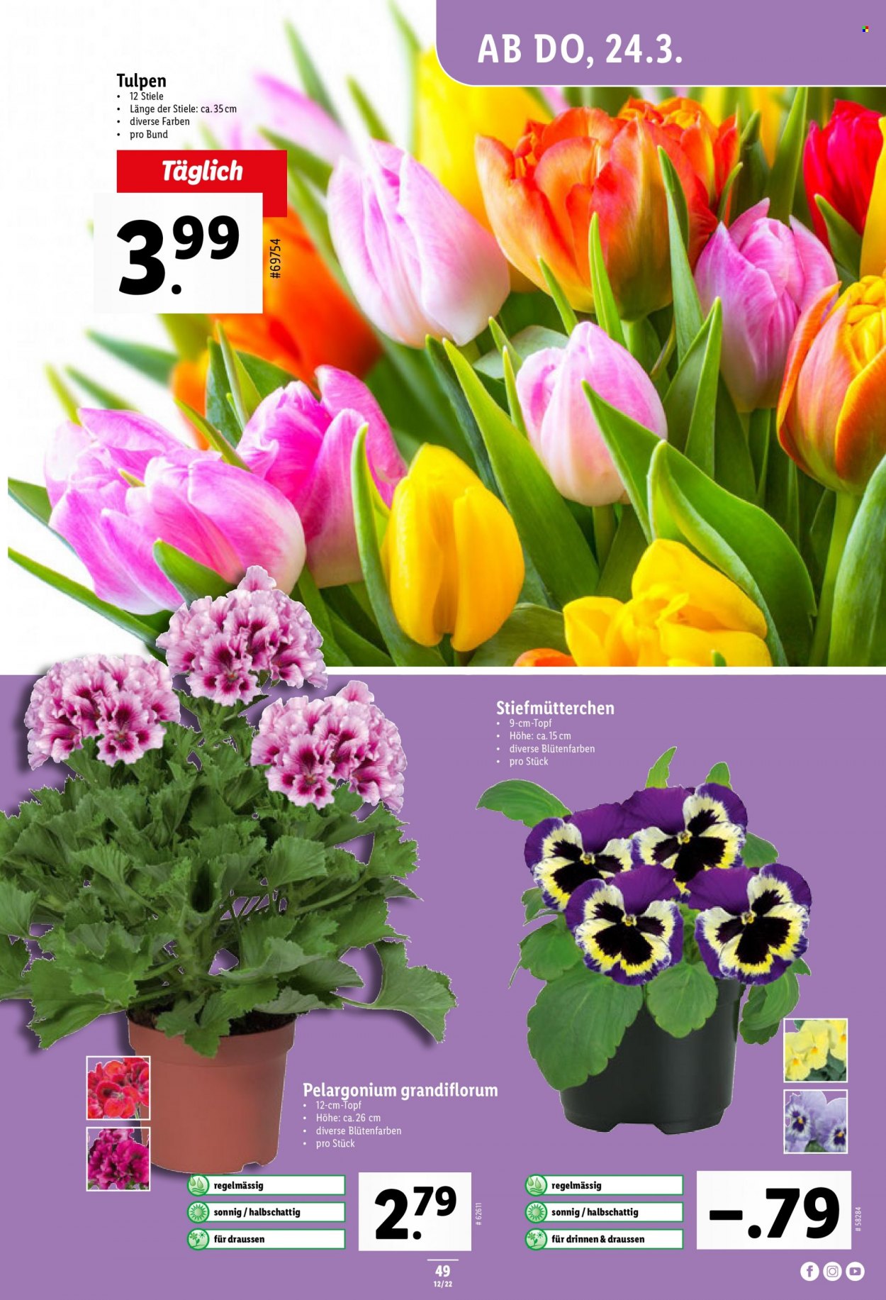 Volantino Lidl - 24.3.2022 - 30.3.2022. Pagina 49