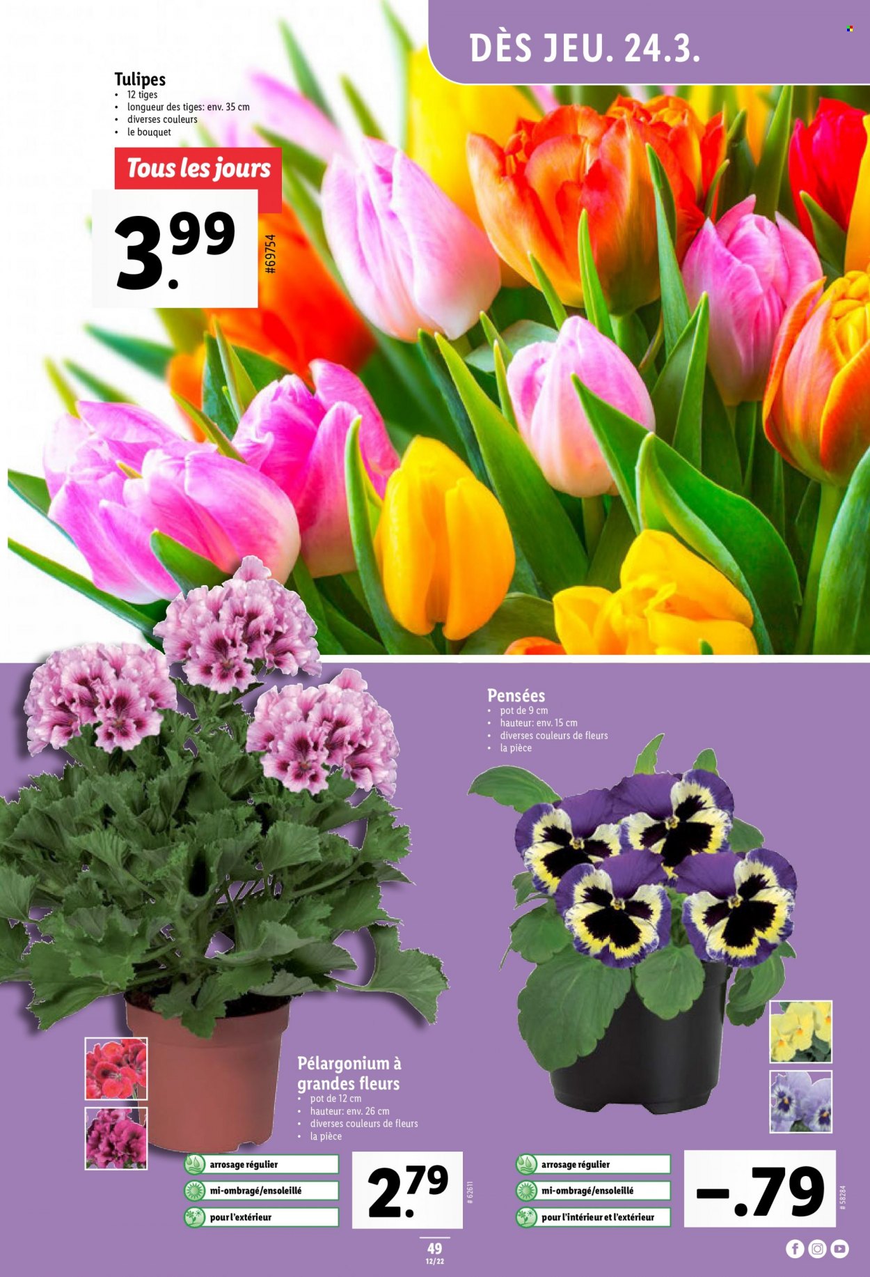 Volantino Lidl - 24.3.2022 - 30.3.2022. Pagina 49