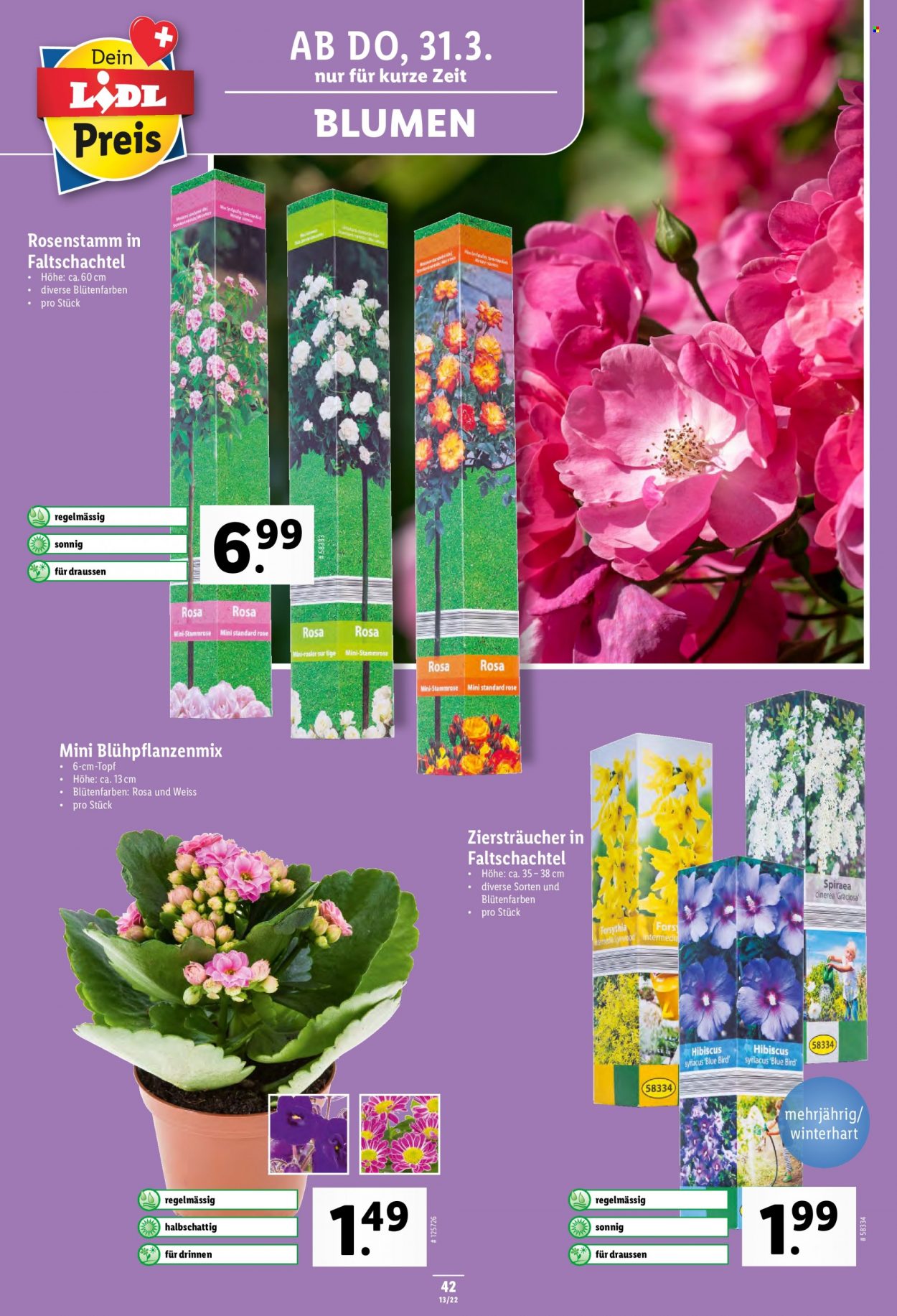 Catalogue Lidl - 31.3.2022 - 6.4.2022. Page 42