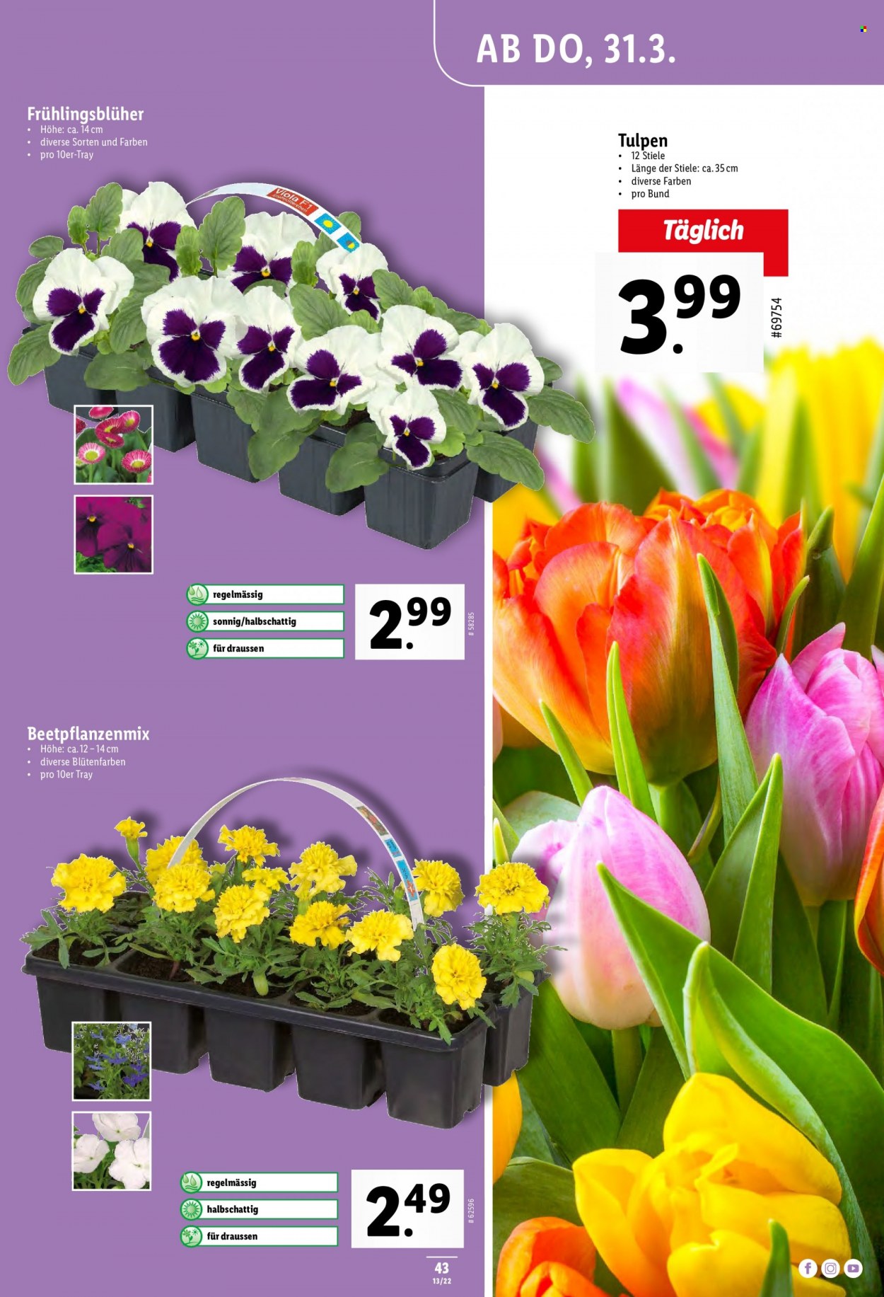 Catalogue Lidl - 31.3.2022 - 6.4.2022. Page 43