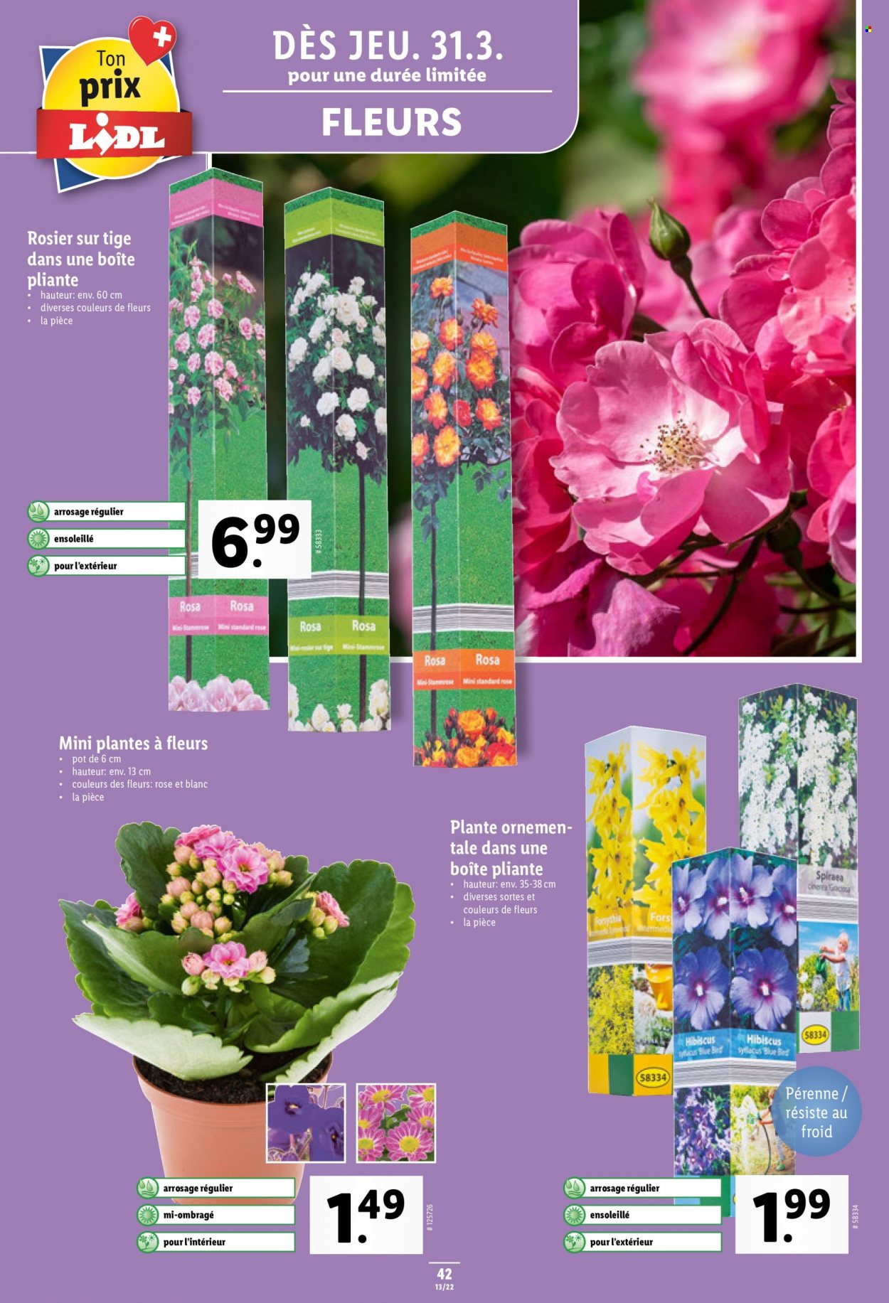 Prospekt Lidl - 31.3.2022 - 6.4.2022. Seite 42