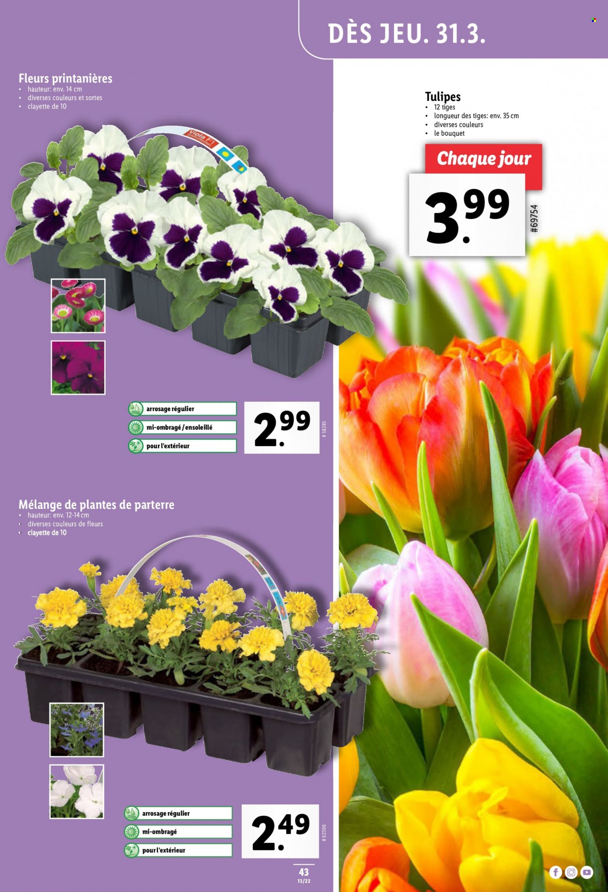 Prospekt Lidl - 31.3.2022 - 6.4.2022. Seite 43