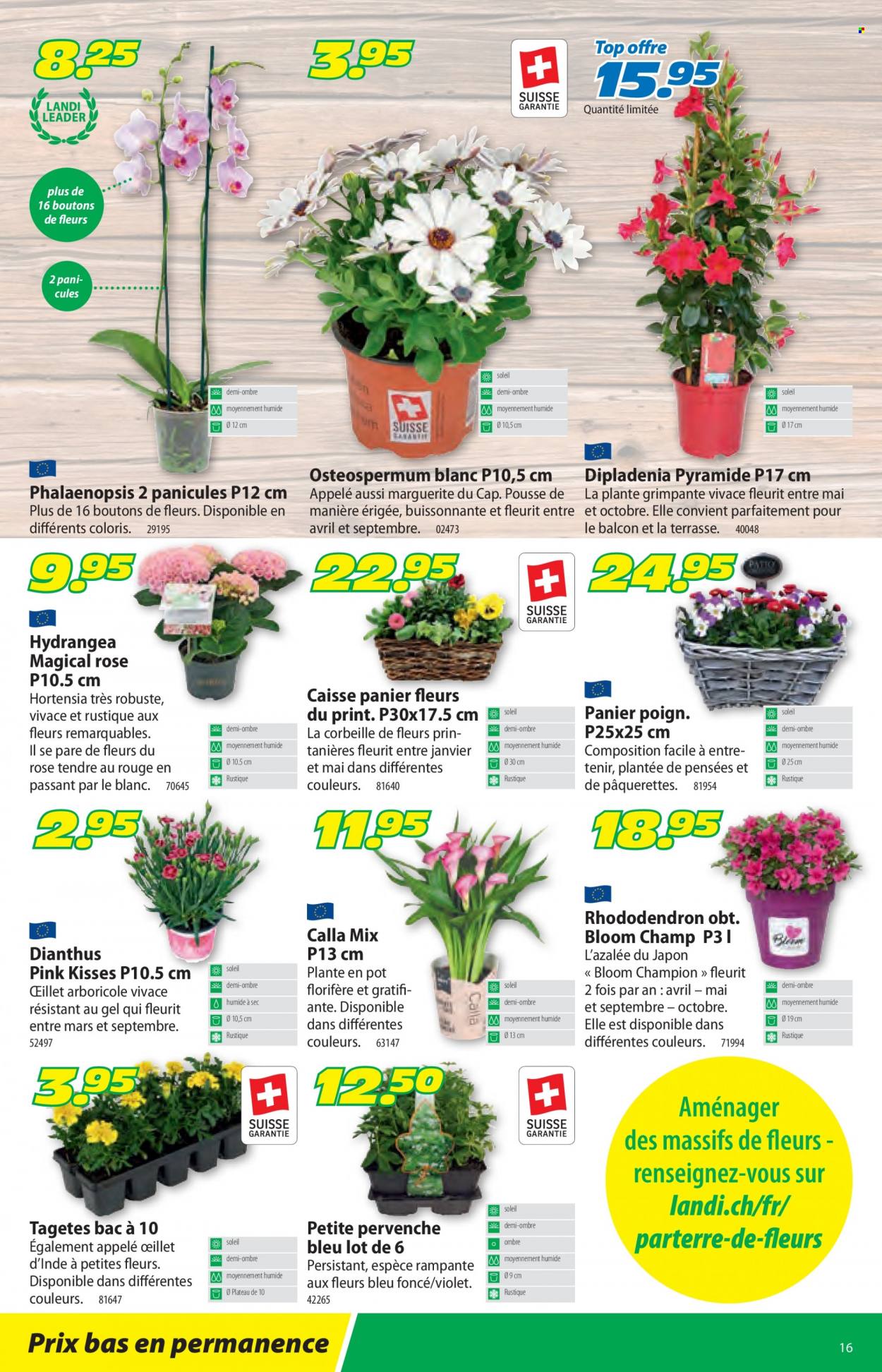 Volantino Landi - 4.4.2022 - 16.4.2022. Pagina 16