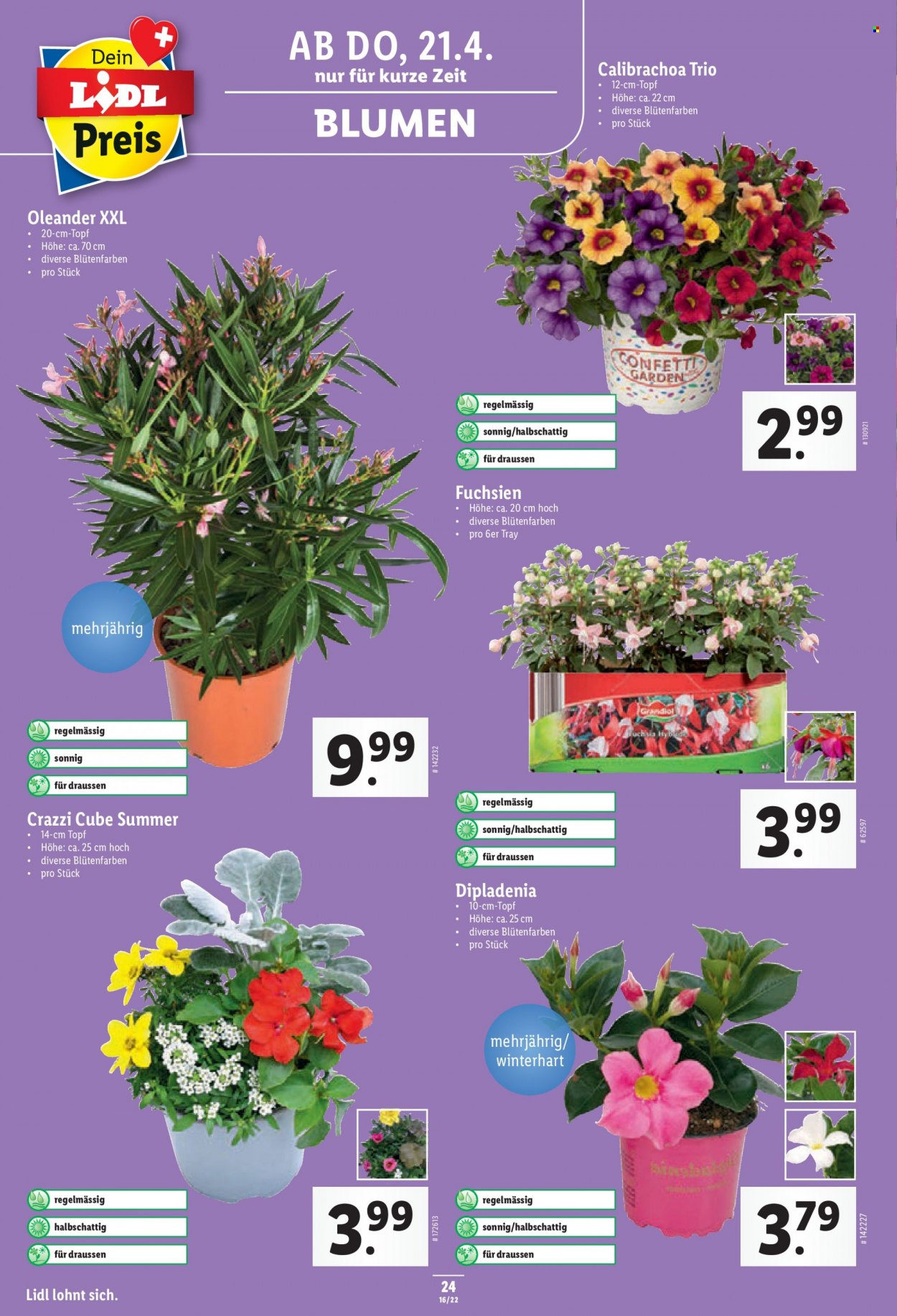 Volantino Lidl - 21.4.2022 - 27.4.2022. Pagina 24