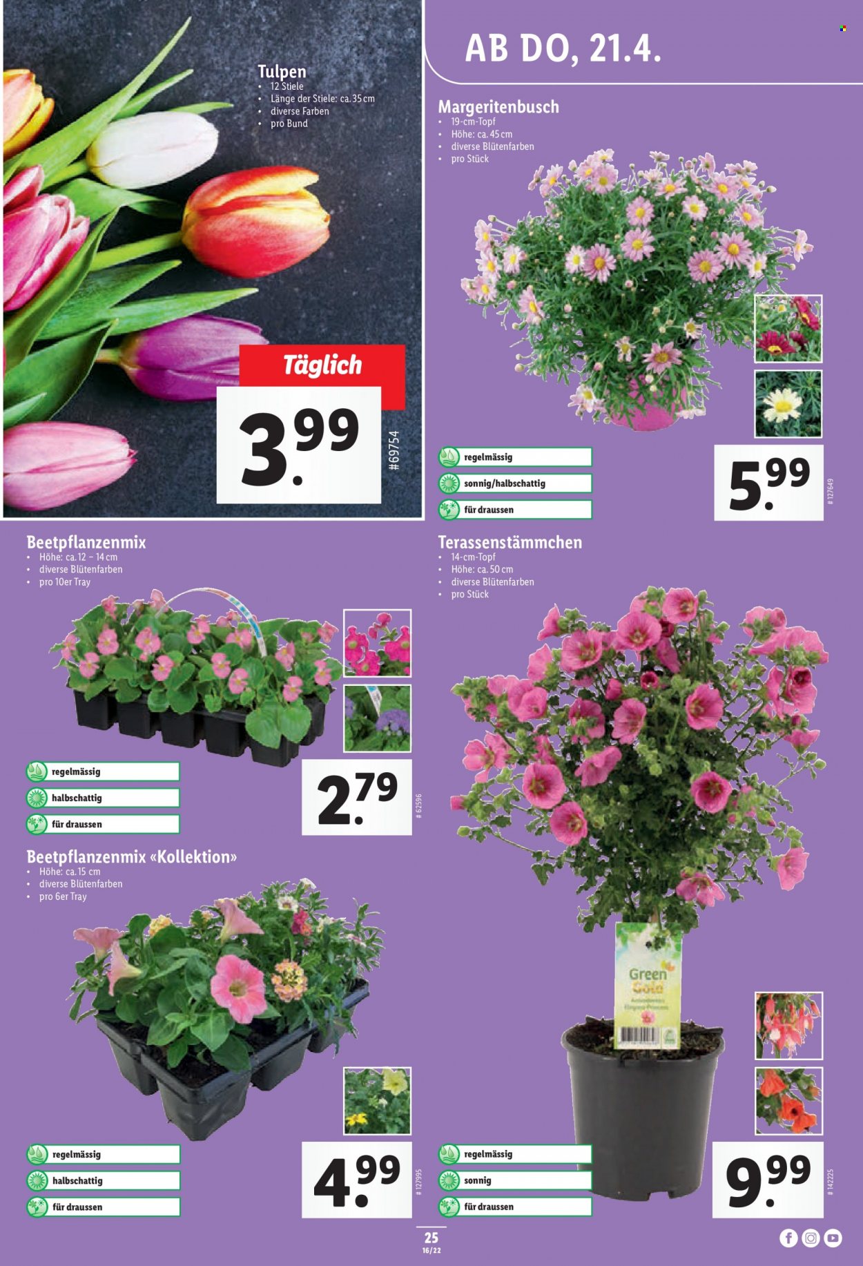 Volantino Lidl - 21.4.2022 - 27.4.2022. Pagina 25