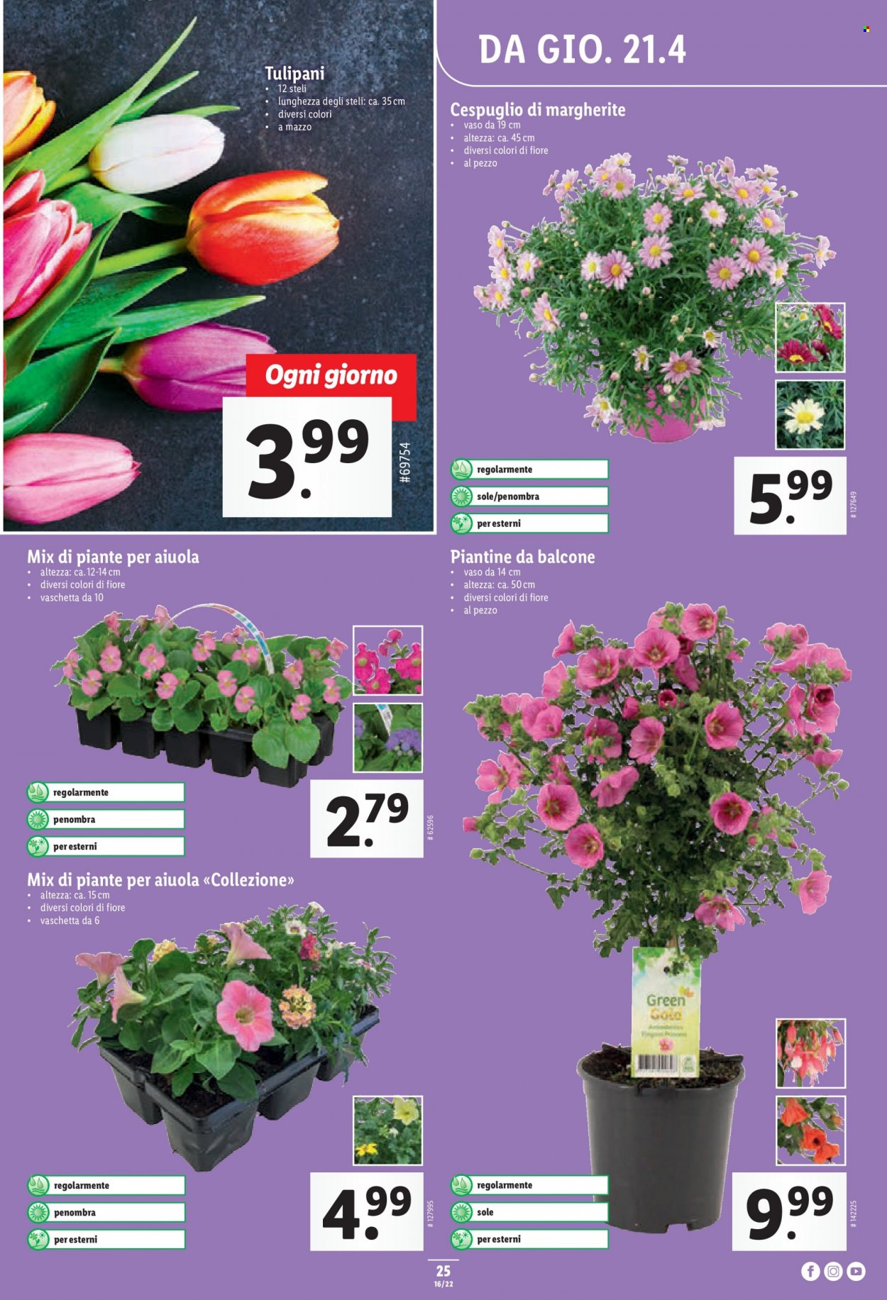 Catalogue Lidl - 21.4.2022 - 27.4.2022. Page 25