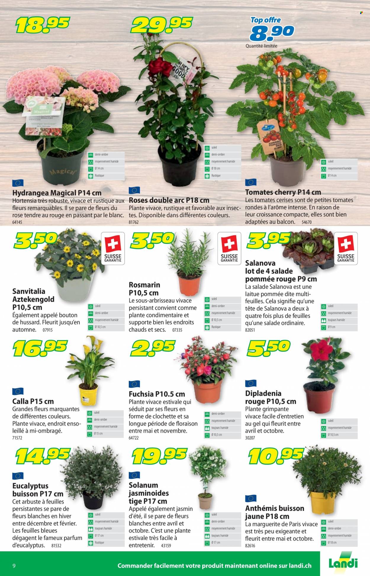 Volantino Landi - 18.4.2022 - 30.4.2022. Pagina 13