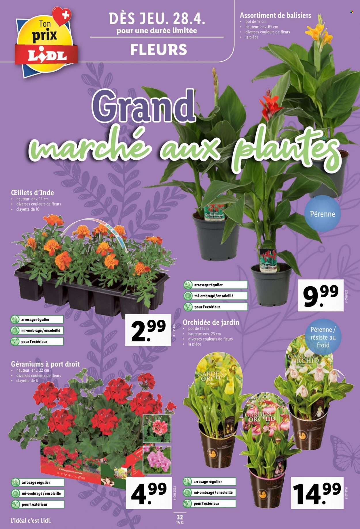 Catalogue Lidl - 28.4.2022 - 4.5.2022. Page 32